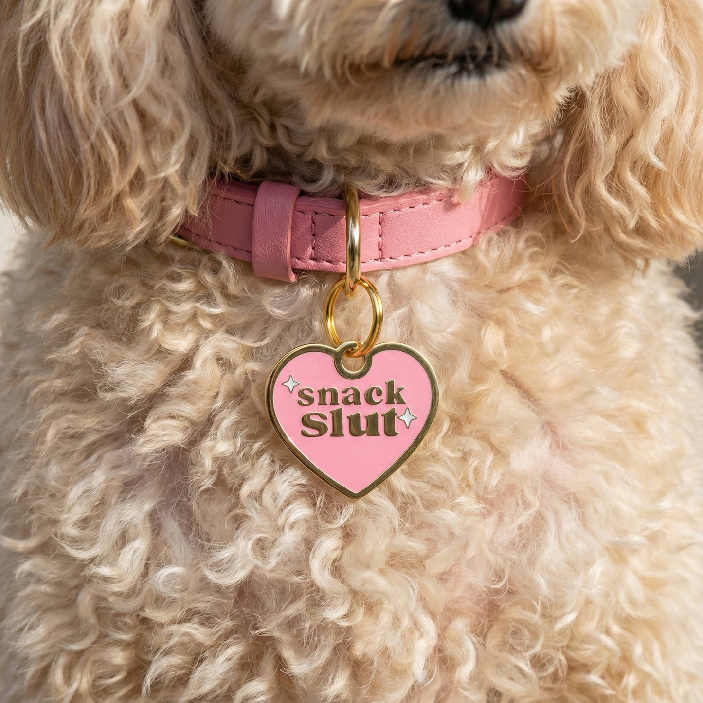 Funny Gold Enamel Dog Charm & Pet ID Tag - Snack Slut : Large / Engraved QR Code