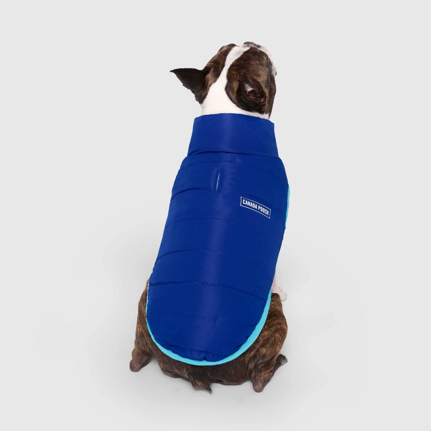 Reversible Puffer Vest- Dog Coat: Pink/Purple