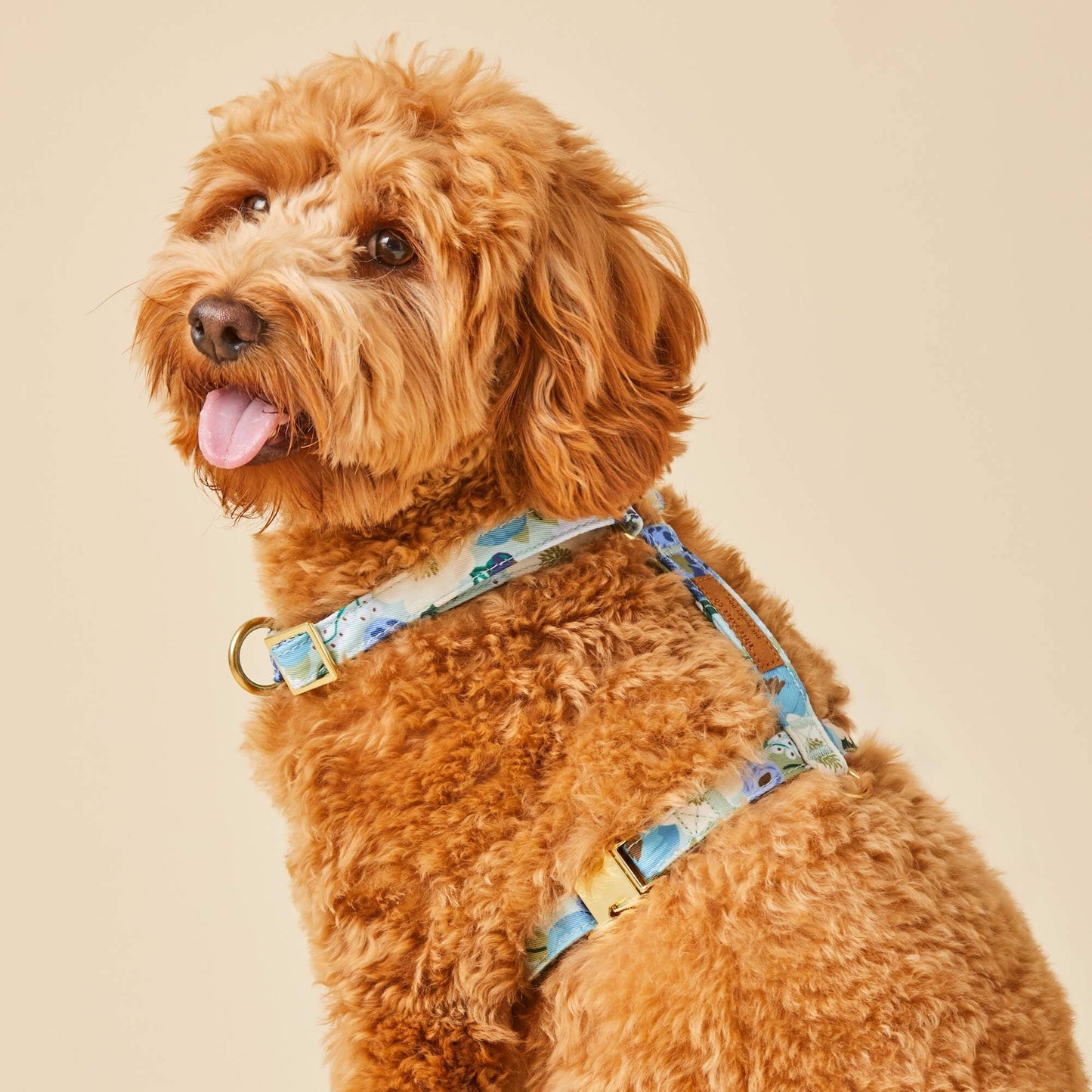 Rifle Paper Co. x TFD Vintage Blossom Spring Dog Harness