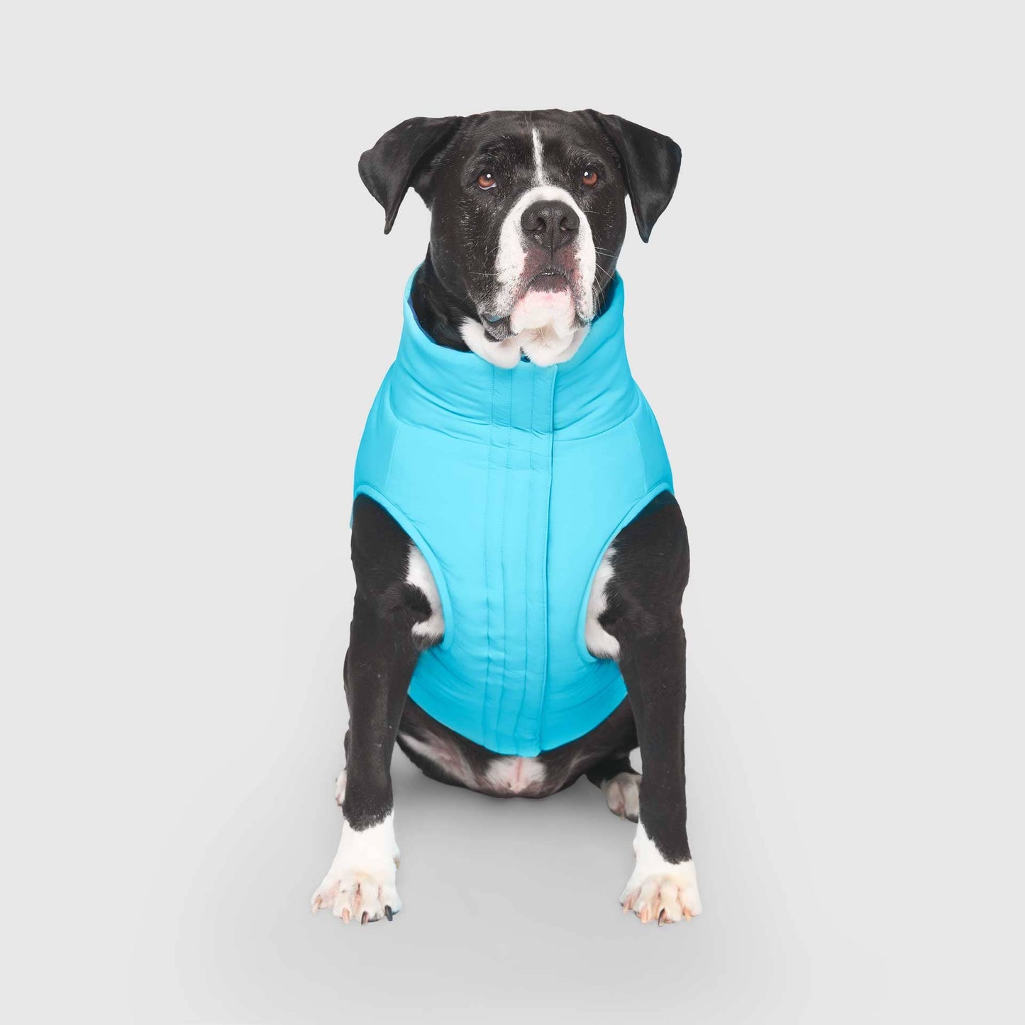 Reversible Puffer Vest- Dog Coat: Pink/Purple