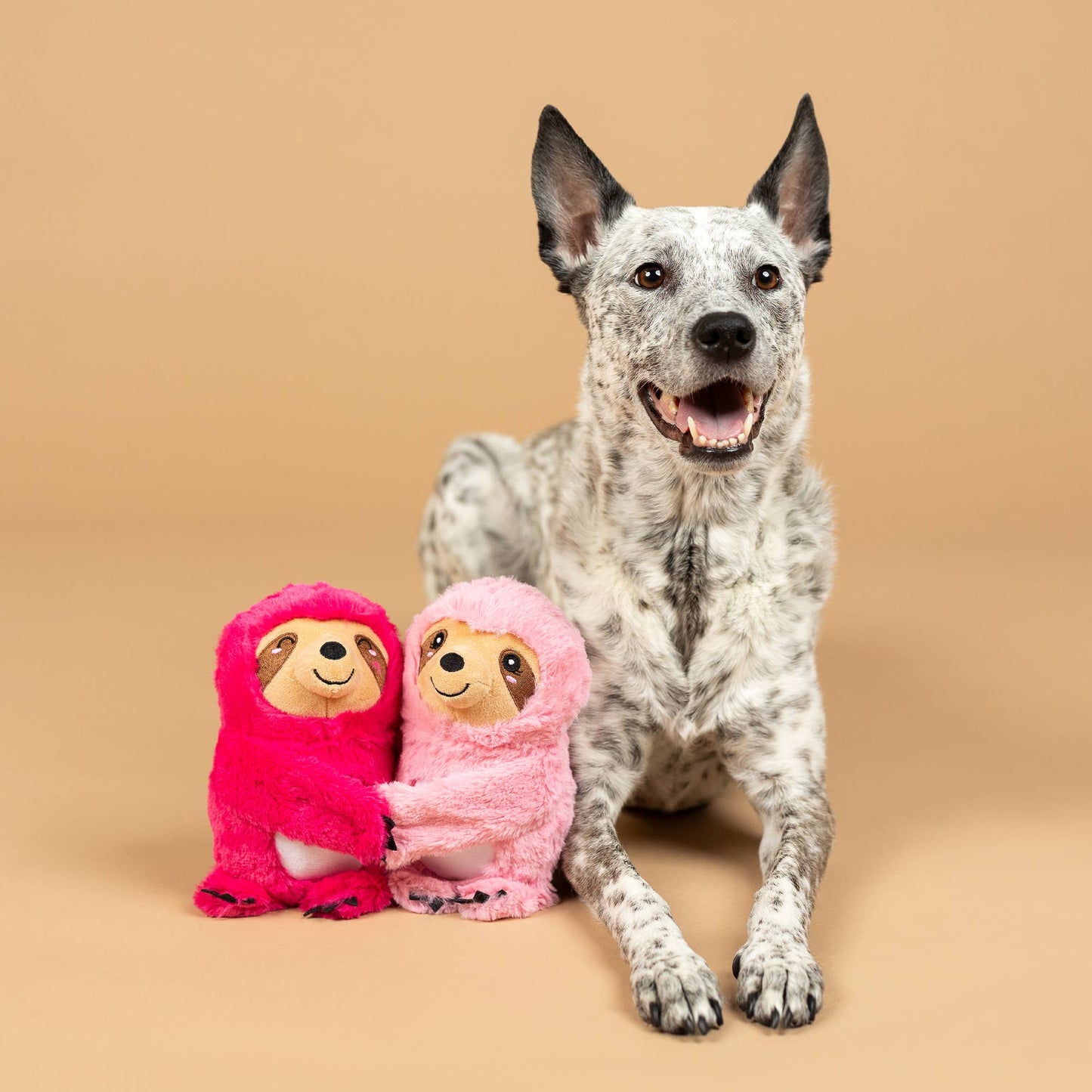 CUDDLE BUDS 2PC DOG TOY SET