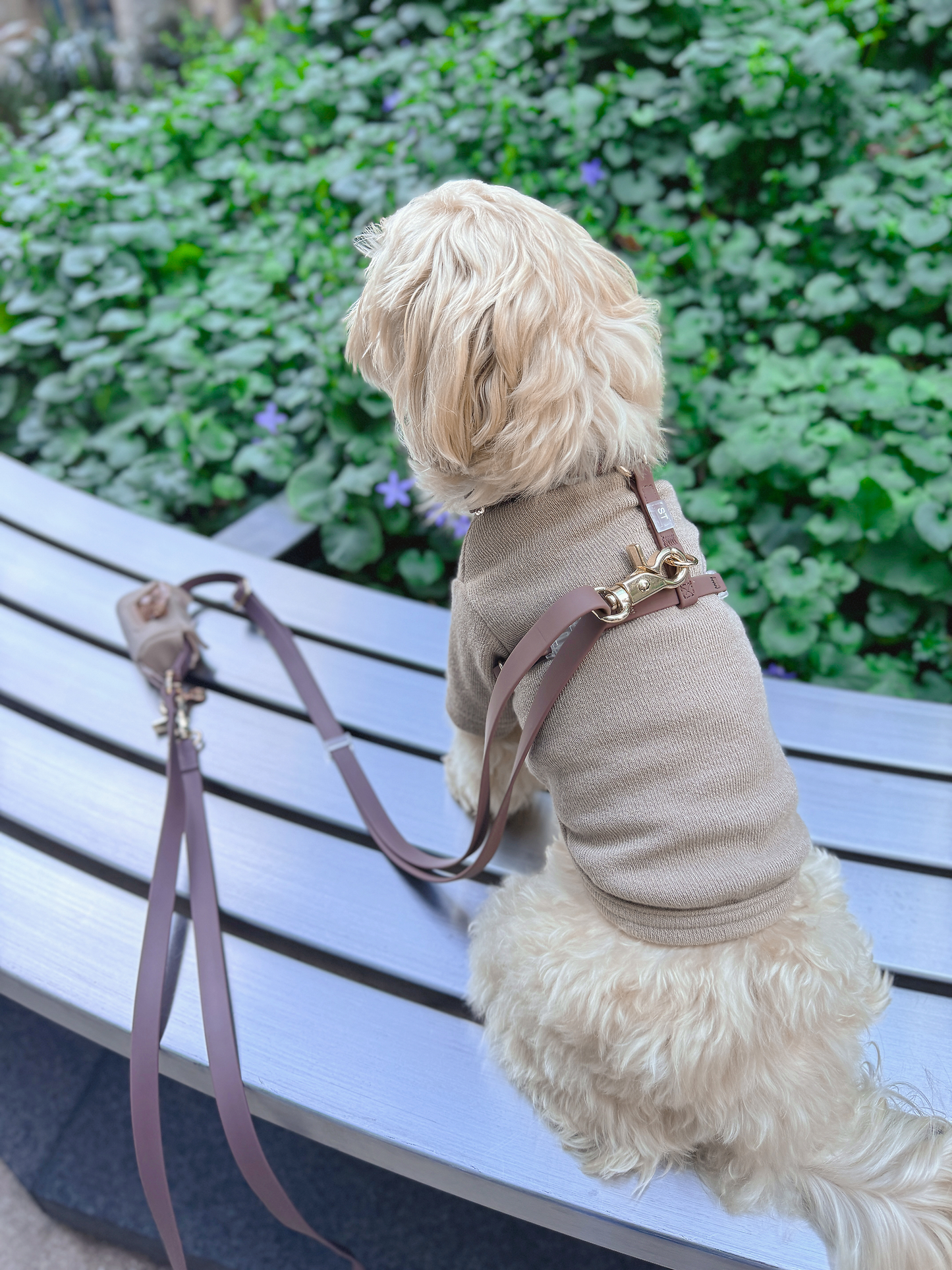 Espresso Brown Cloud Lite Dog Harness