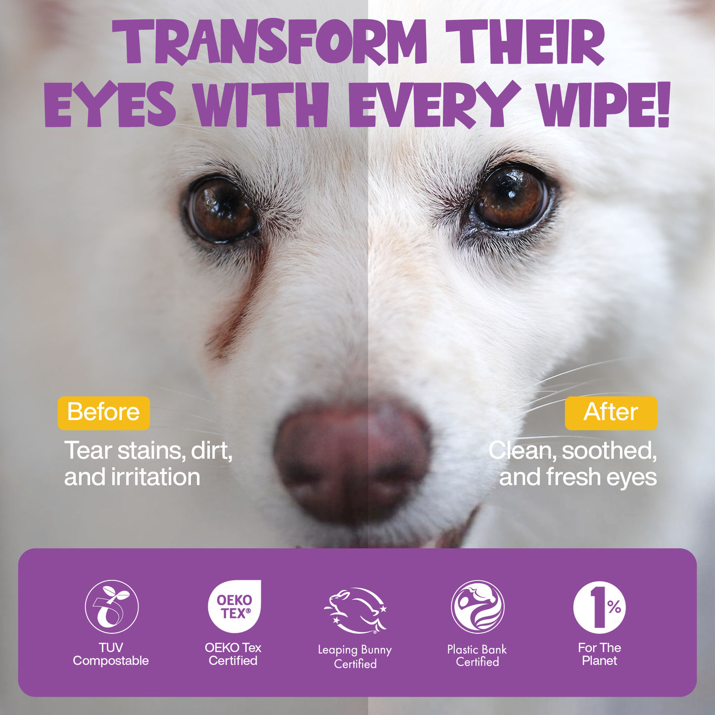 Roofus Dog Eye Wipes | Fragrance Free