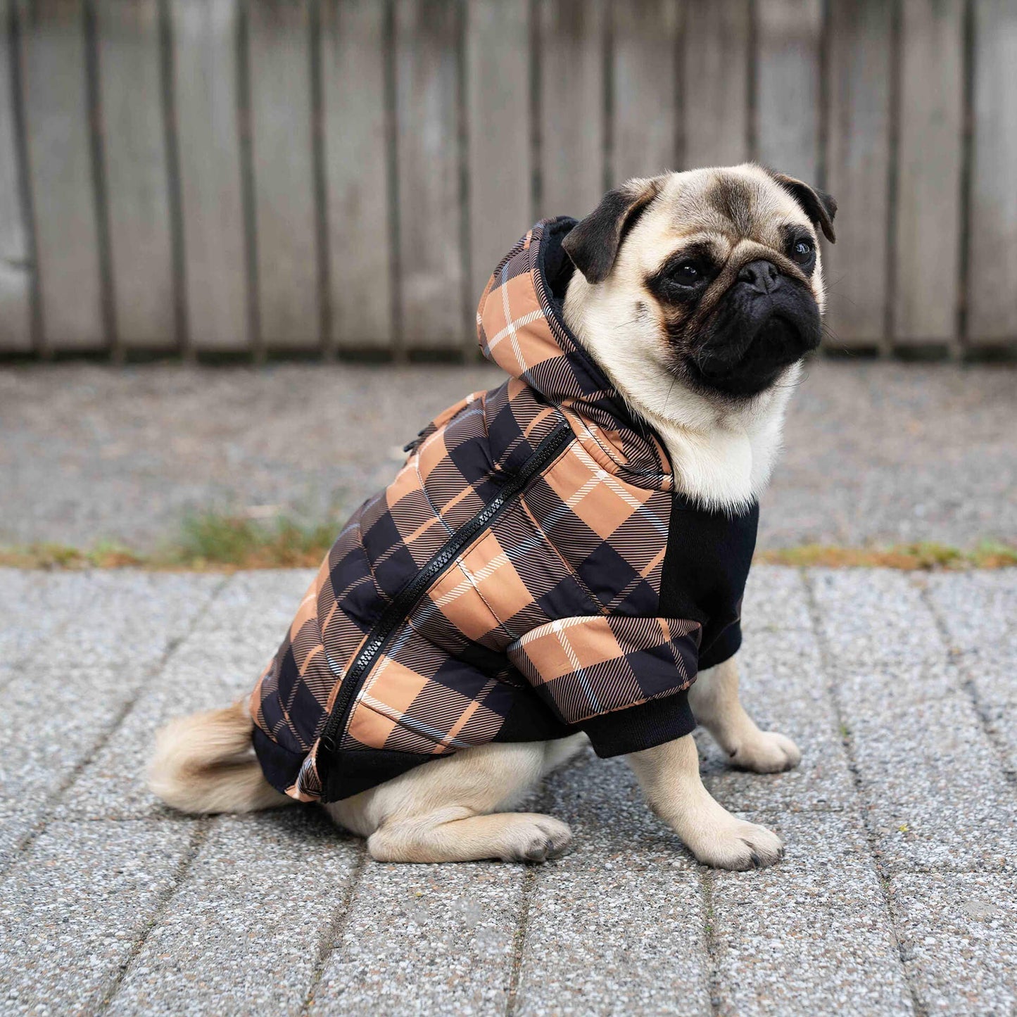 Prism Puffer- Dog Coat: Galaxy / 8