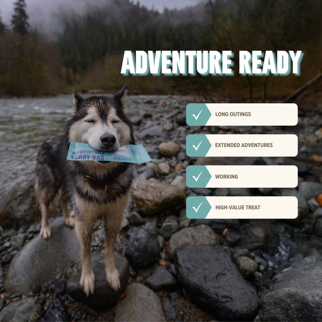 Salmon Treat & Snack Bar for Active -Dogs Energy & Recovery