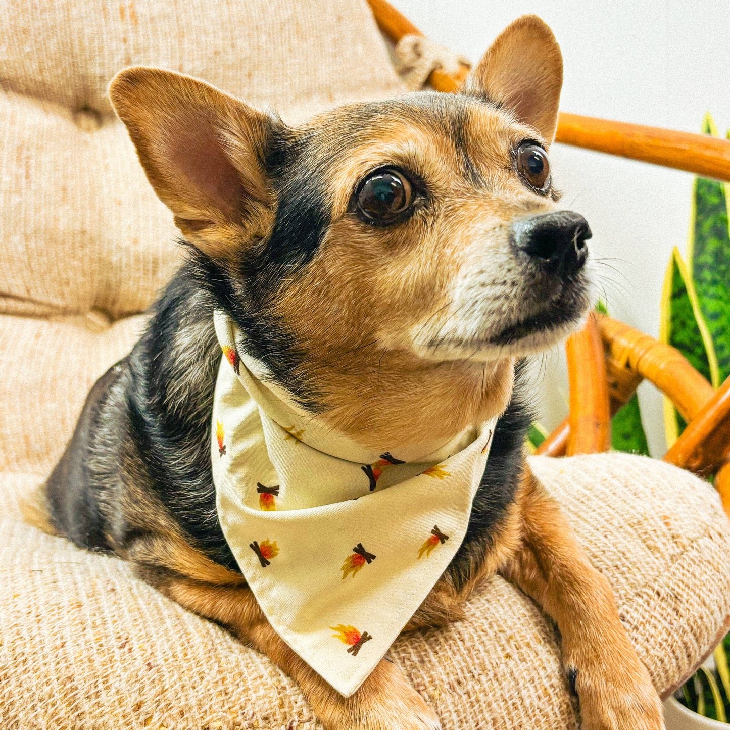 Ember Dog Bandana | Campfire Hike Outdoor Camp Pet Accessory