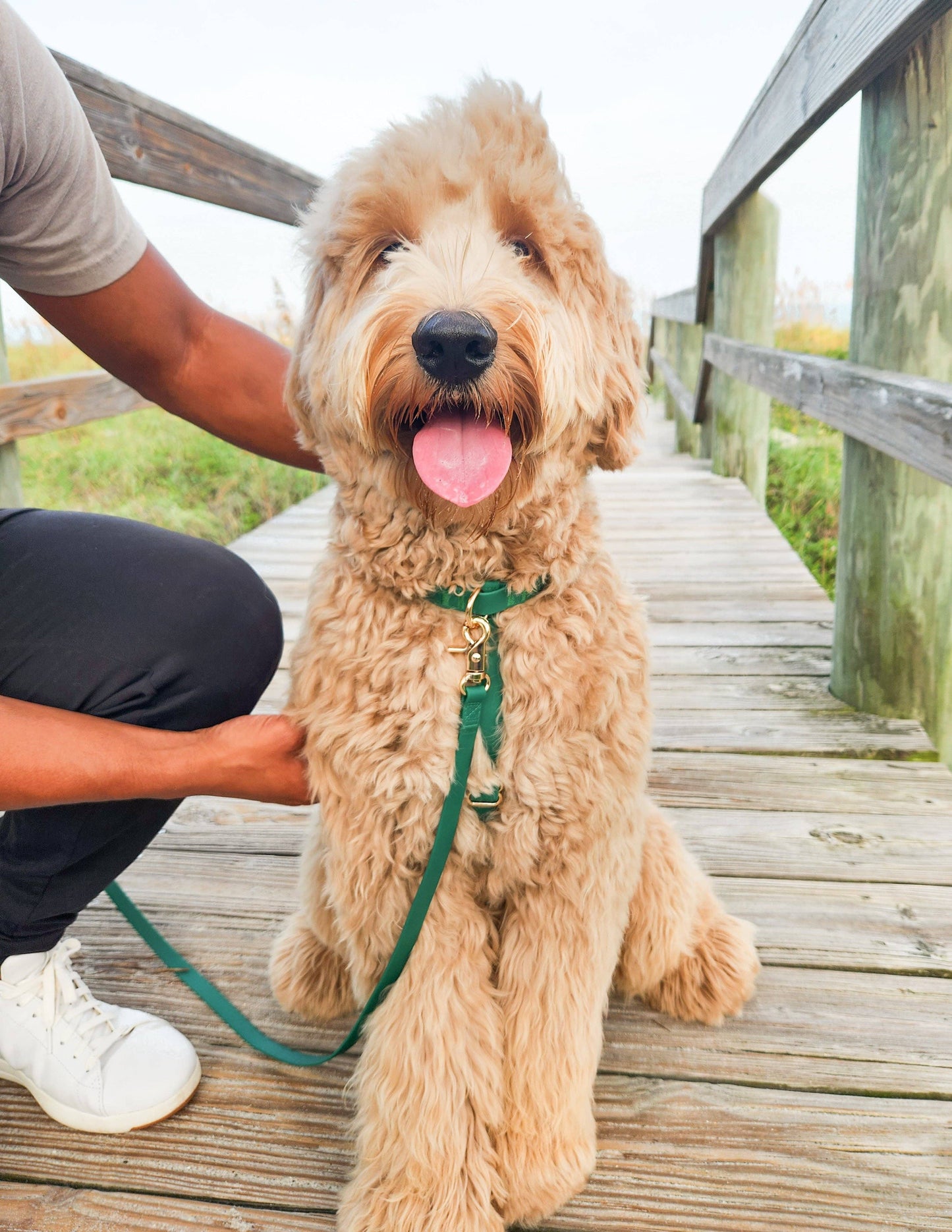Meadow Green Cloud Lite Dog Harness