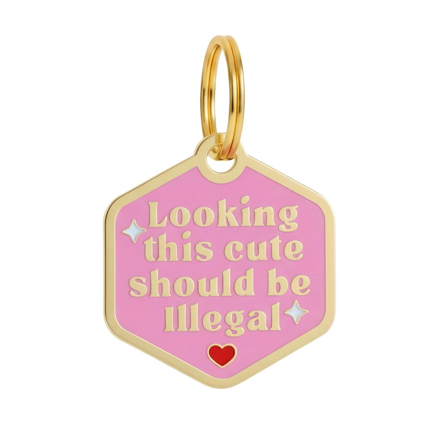 Funny Dog Tag Charm - Looking This Cute should be Illegal: Small / Engraved QR Code