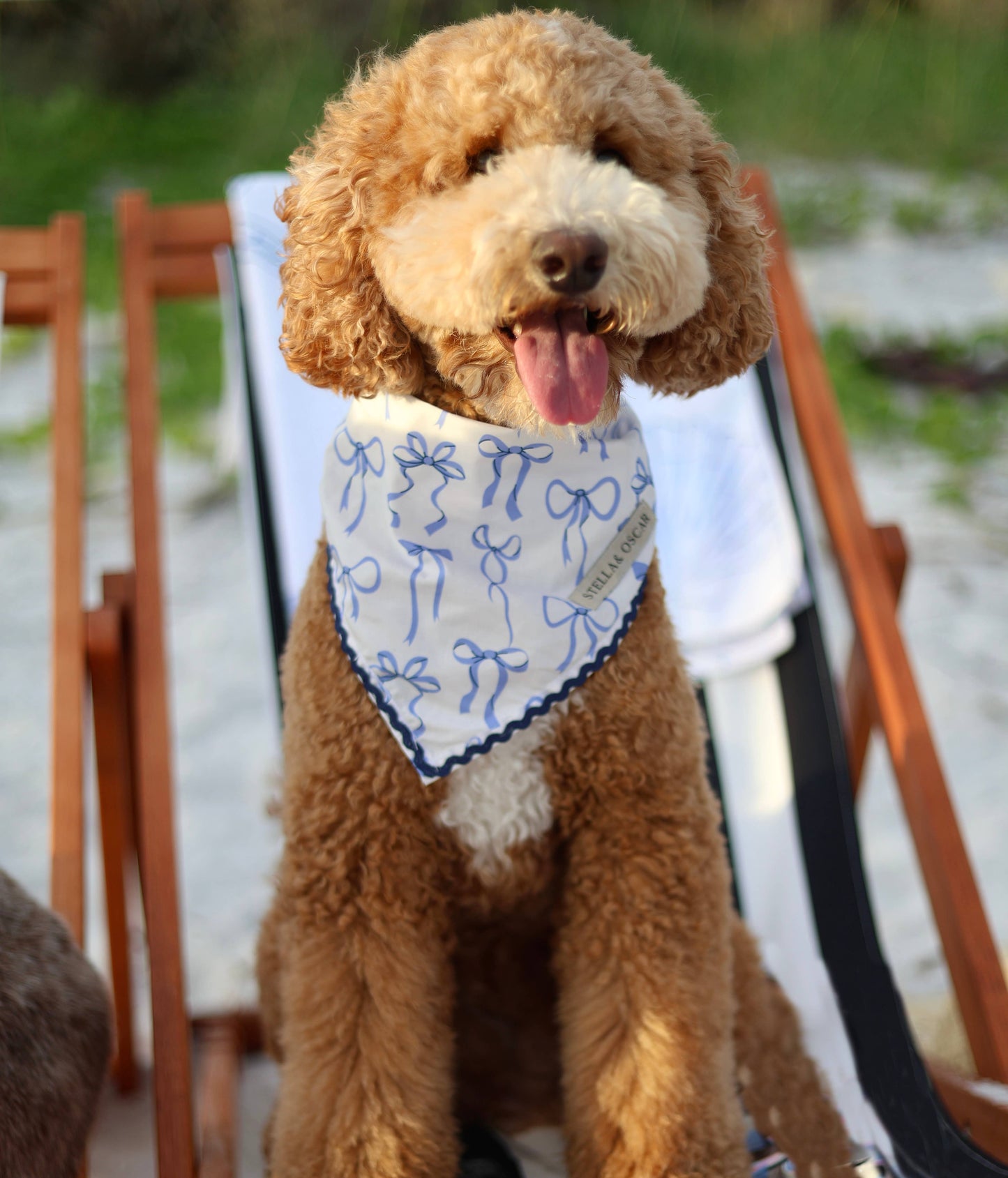 Stella & Oscar Ocean Knot Bandana