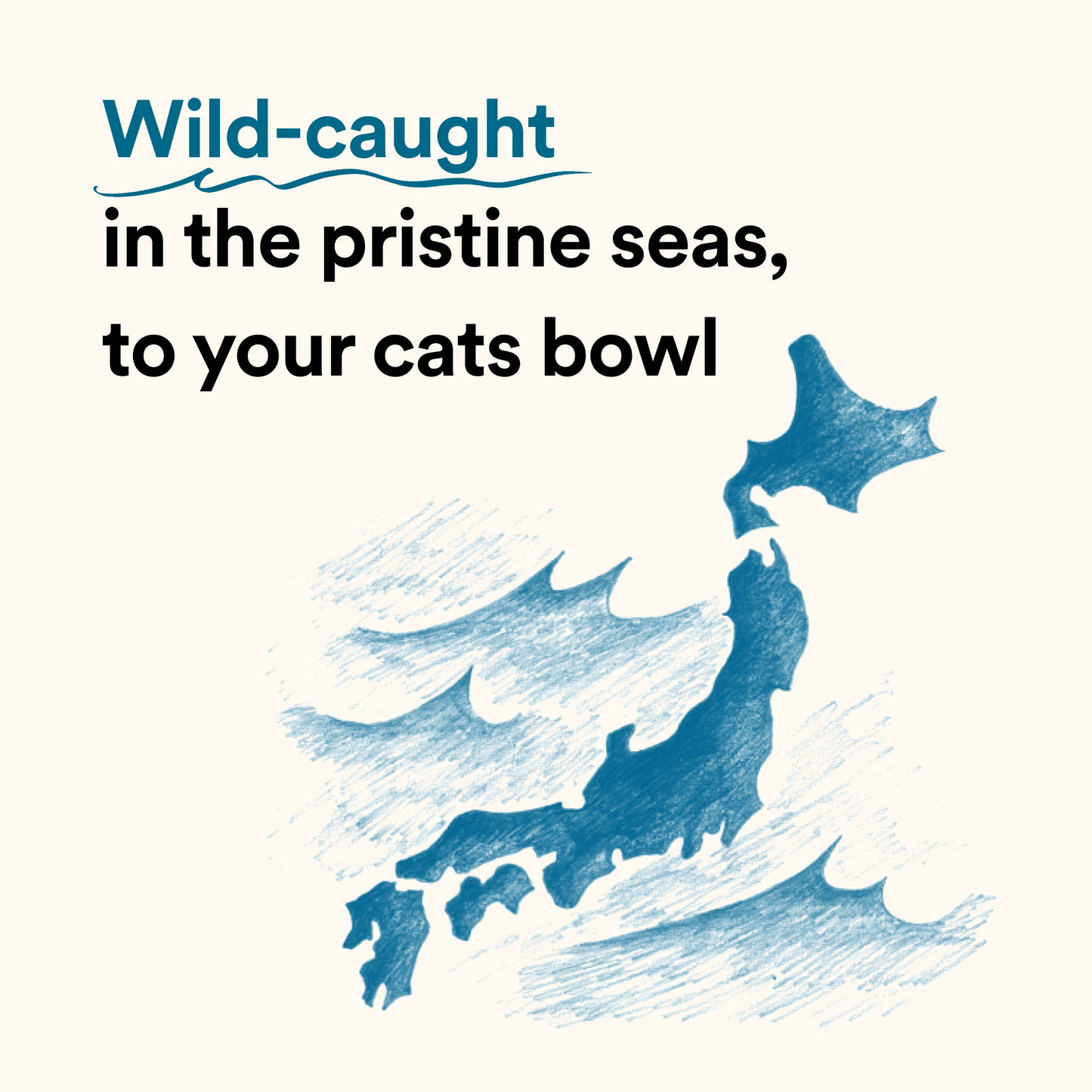 Umami Meal Topper: Bonito Flakes for Cats and Dogs