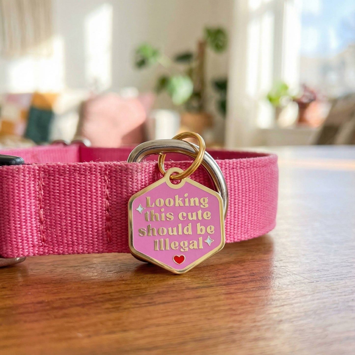 Funny Dog Tag Charm - Looking This Cute should be Illegal: Small / Engraved QR Code