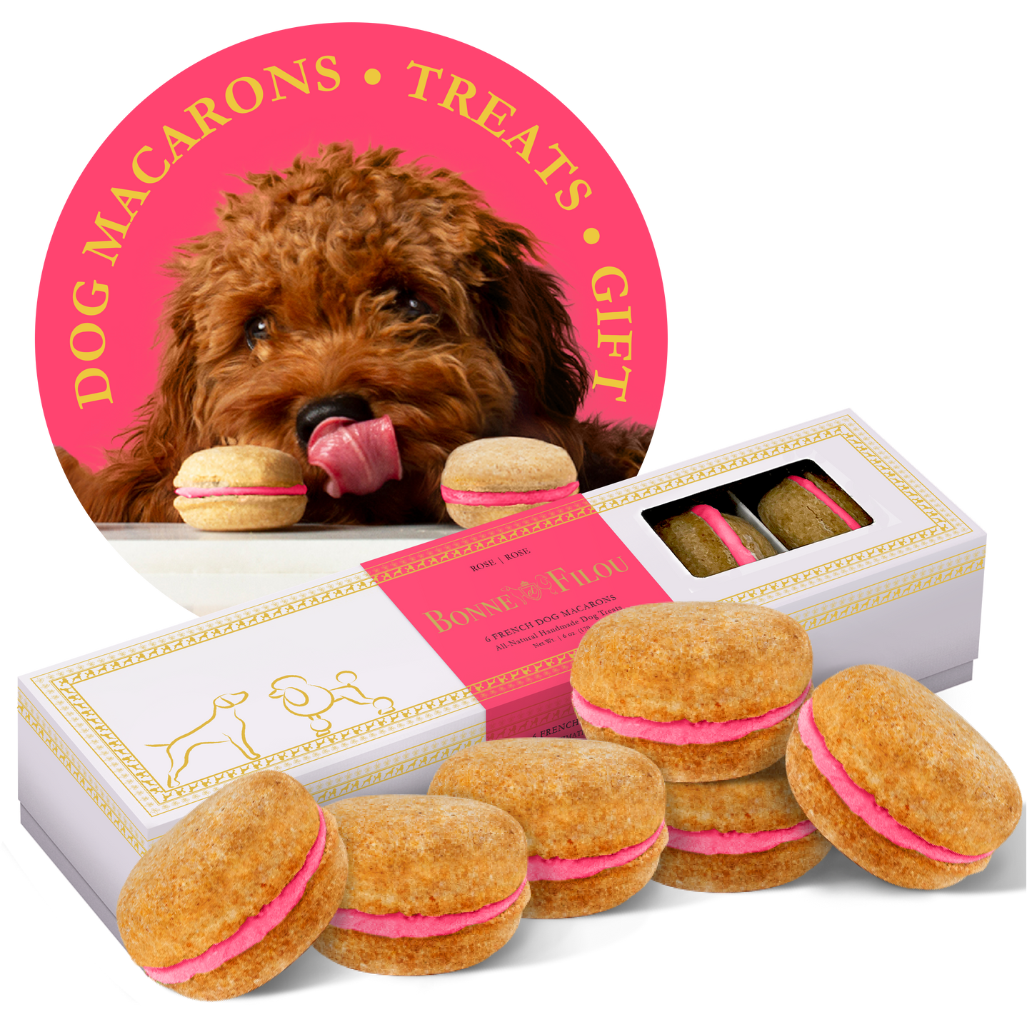 Bonne et Filou Dog Macarons | Birthday Cake