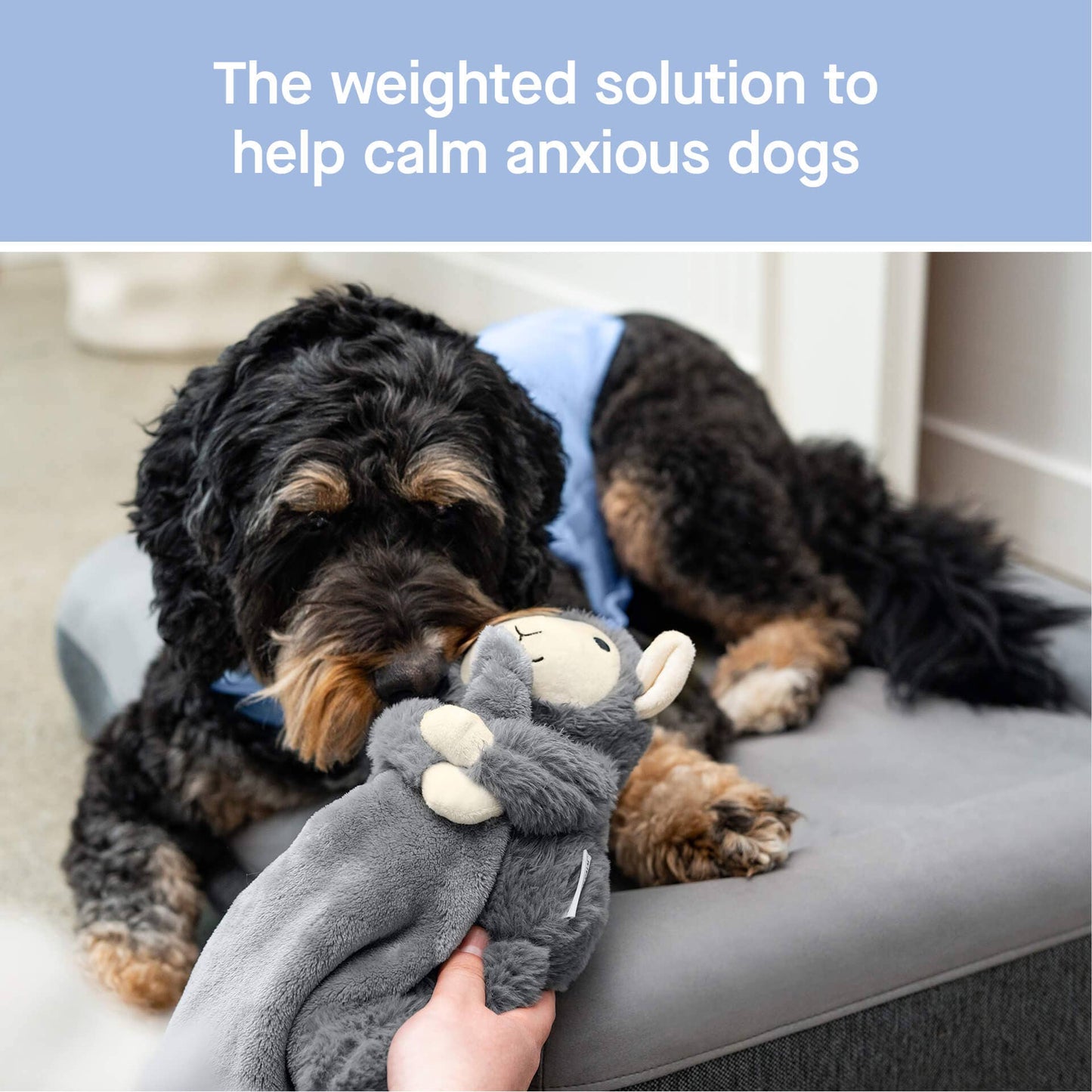Weighted Calming Dog Toy: Grey Lamb / S/M