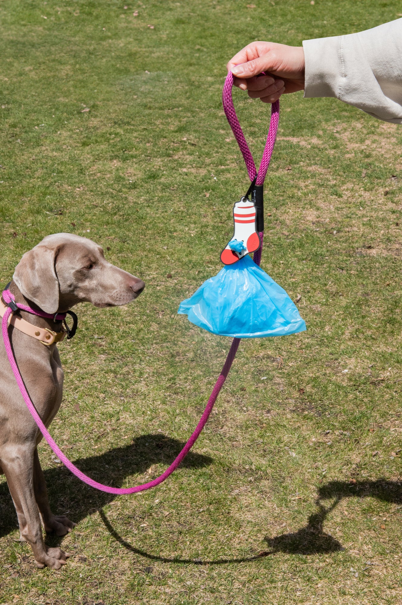 Sock Poopy Loop® Used Dog Waste Bag Holder