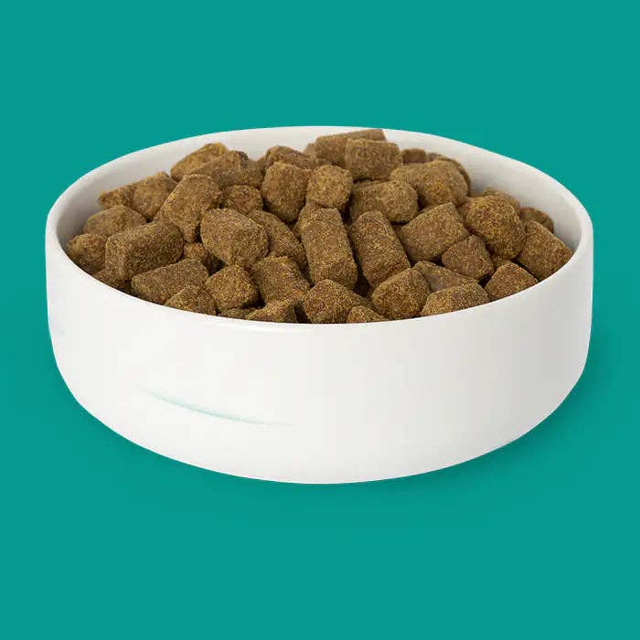 All-Natural Cold-Pressed Lamb Dog Food: 1.9 lb
