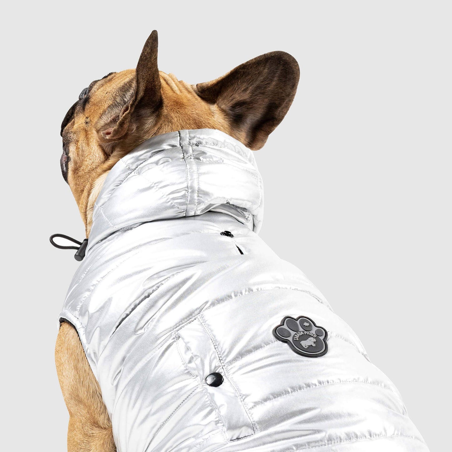 Shiny Puffer Vest- Dog Coat: Iridescent