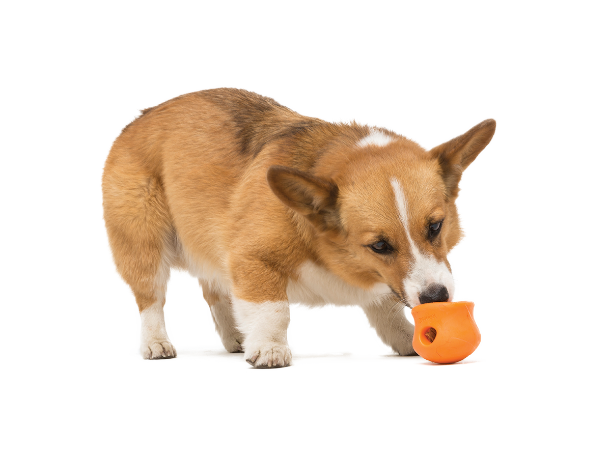 Toppl® Puzzle Treat-Dispensing Slow Feeder Dog Toy Small