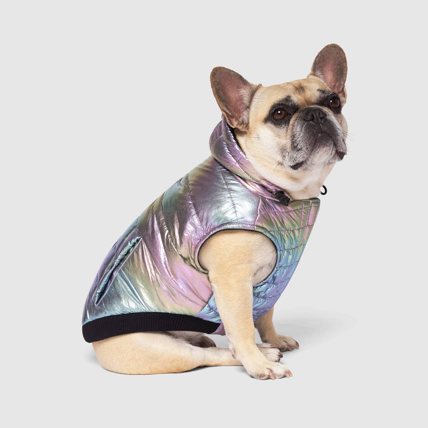 Shiny Puffer Vest- Dog Coat: Iridescent