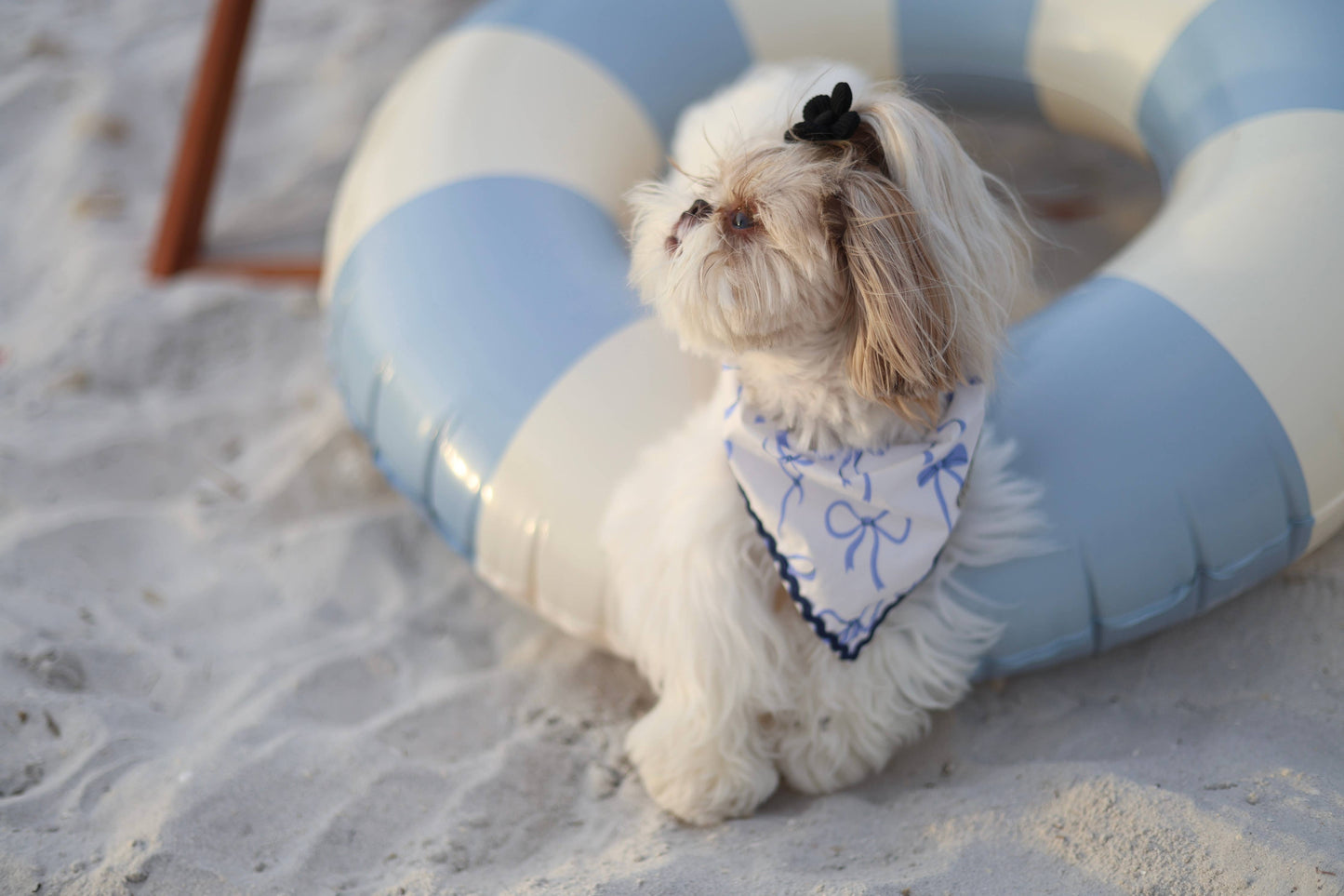 Stella & Oscar Ocean Knot Bandana