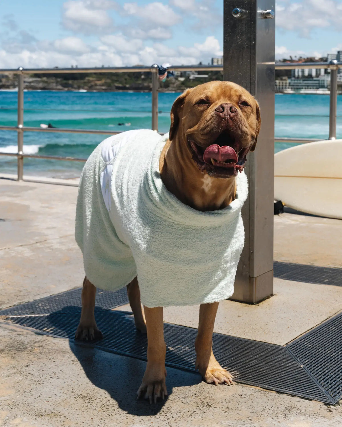 DOG Poncho: Grey
