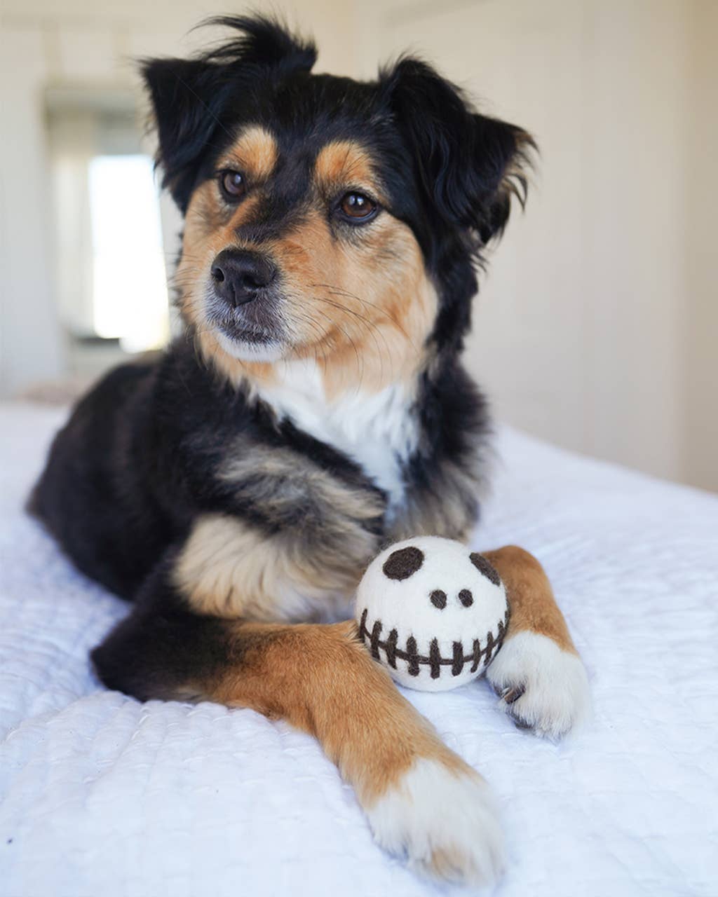 Modern Beast BeastBall: Skeleton