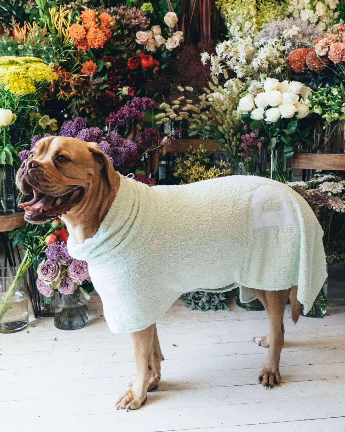 DOG Poncho: Grey