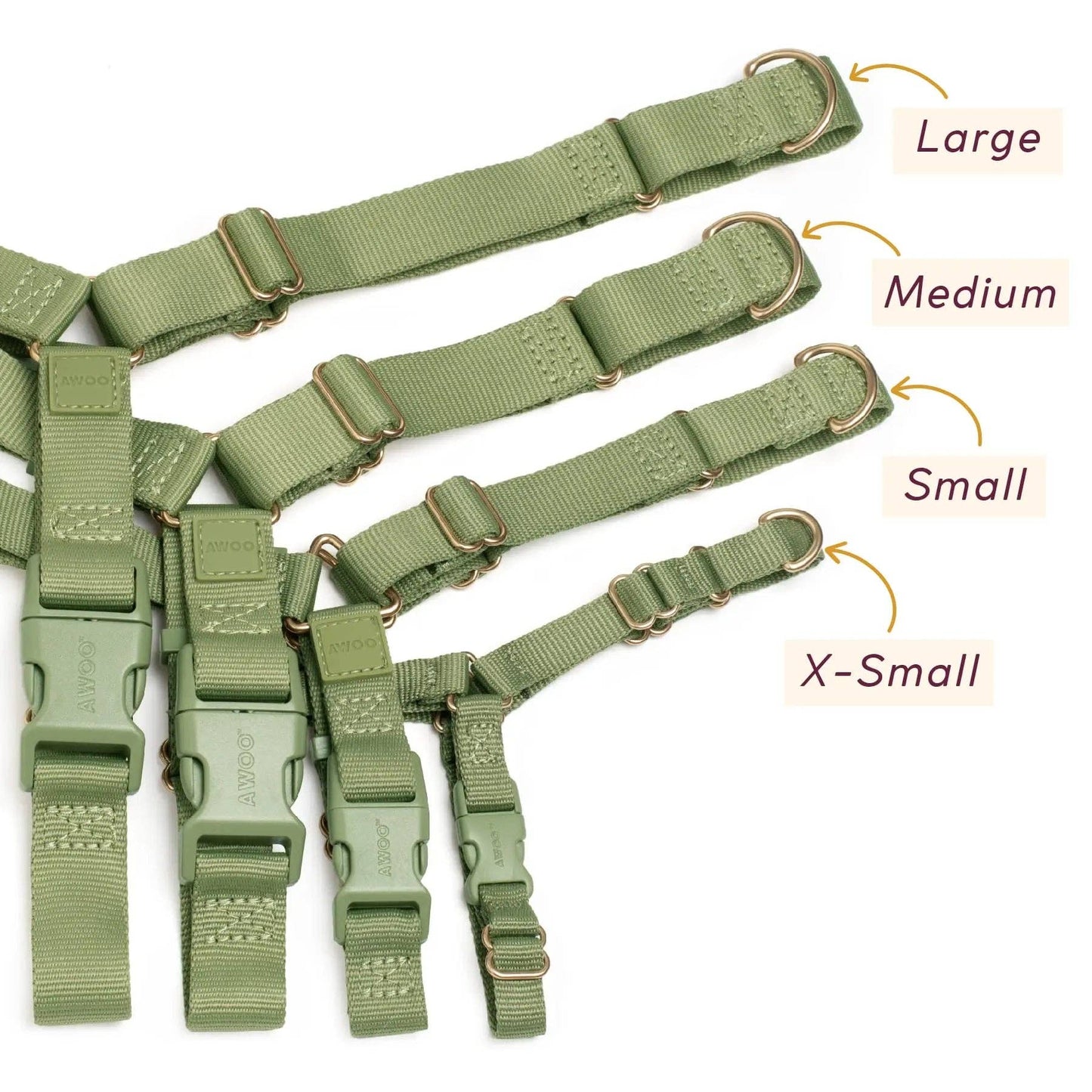 Roam Harness: CANDY / Large