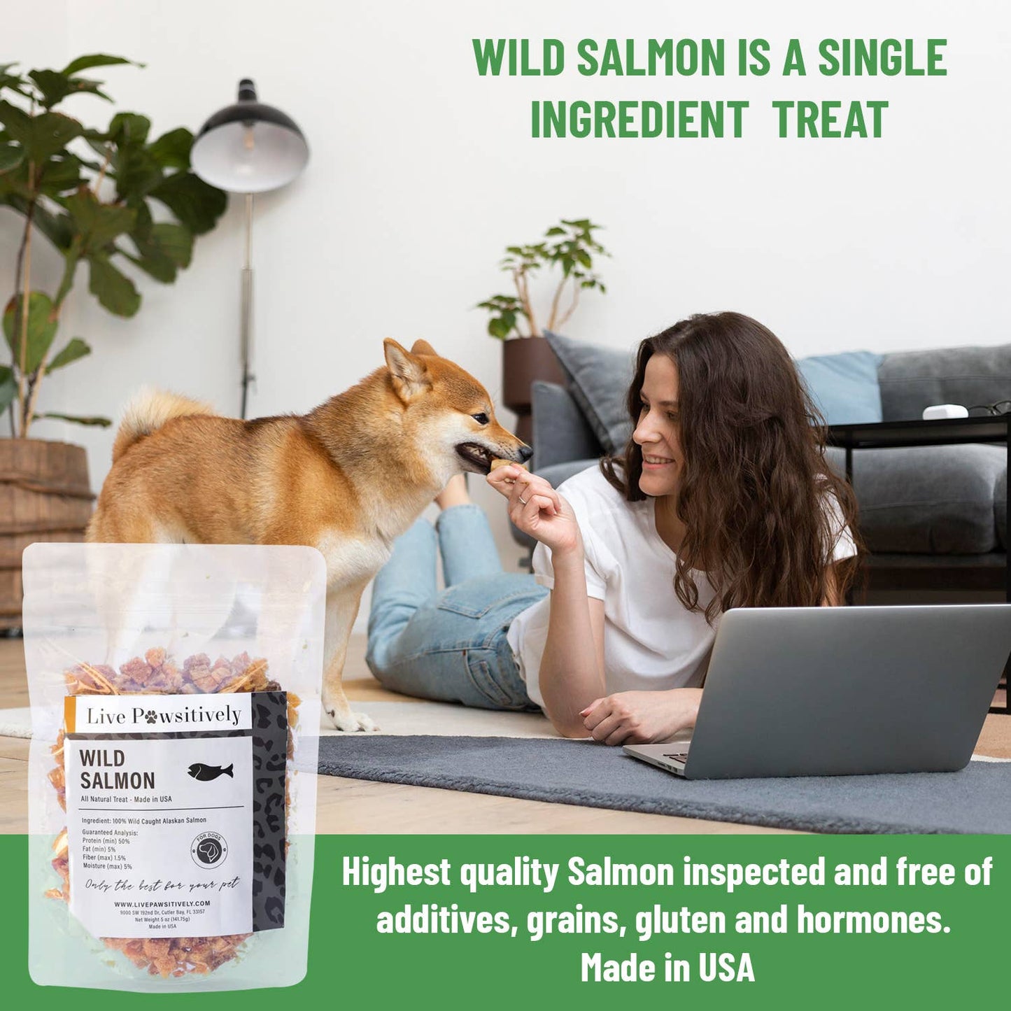 Wild Salmon ,  Dried treat for Dogs