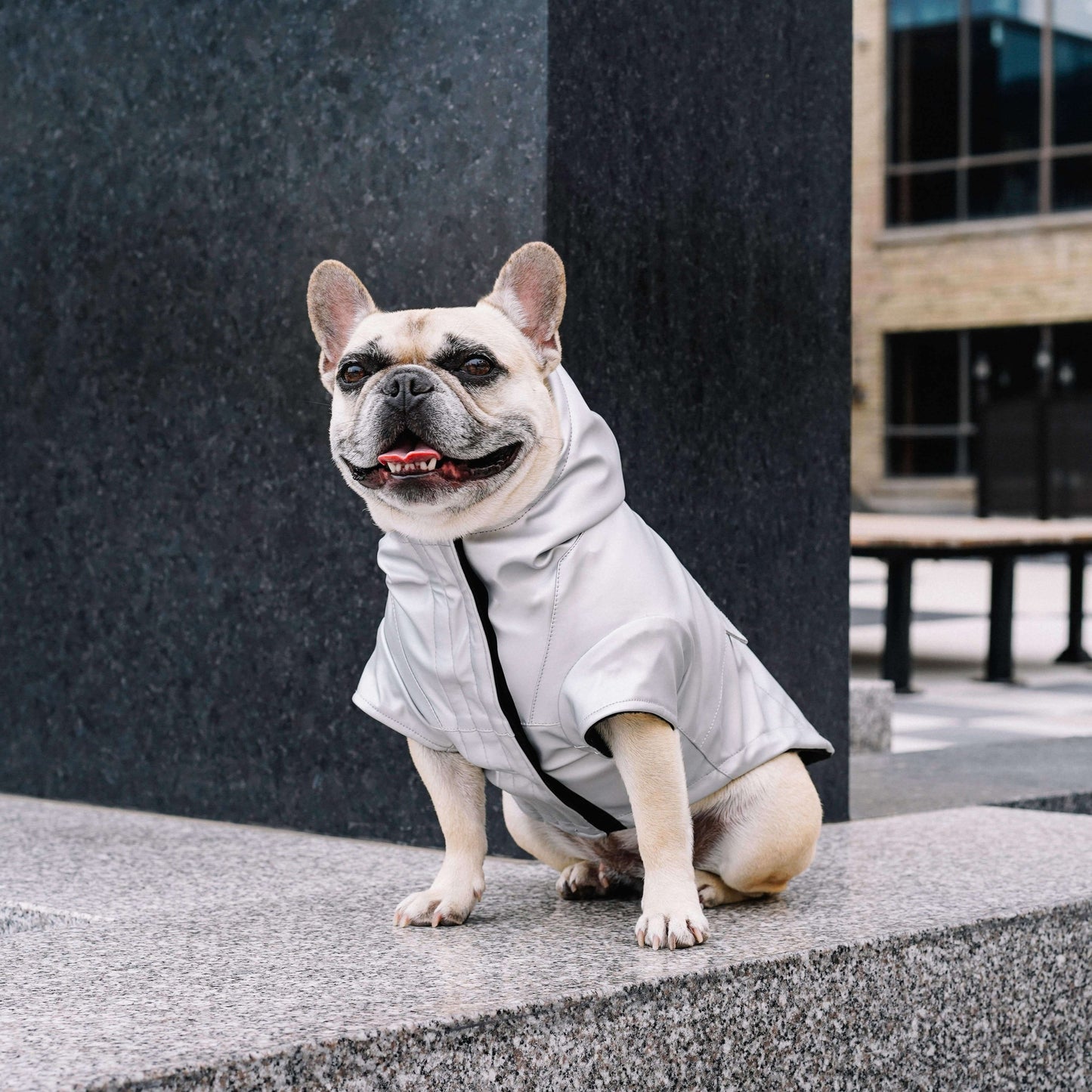 Cold Front Raincoat- Dog Raincoat: Orange / 14