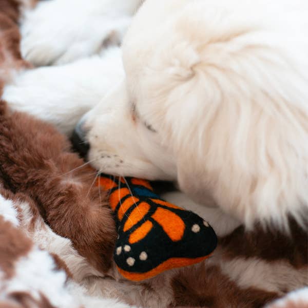 Butterfly WOOLBONE DOG TOY