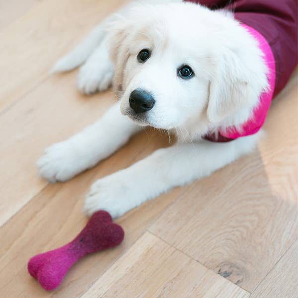 RAINCOAT OMBRE WOOLBONE Wool Dog Toy Large