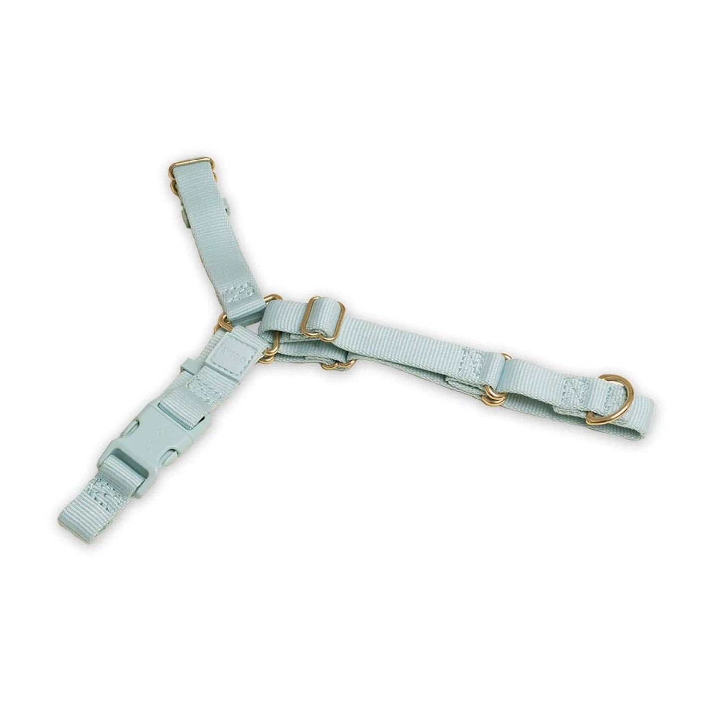 Roam Harness: CANDY / Large
