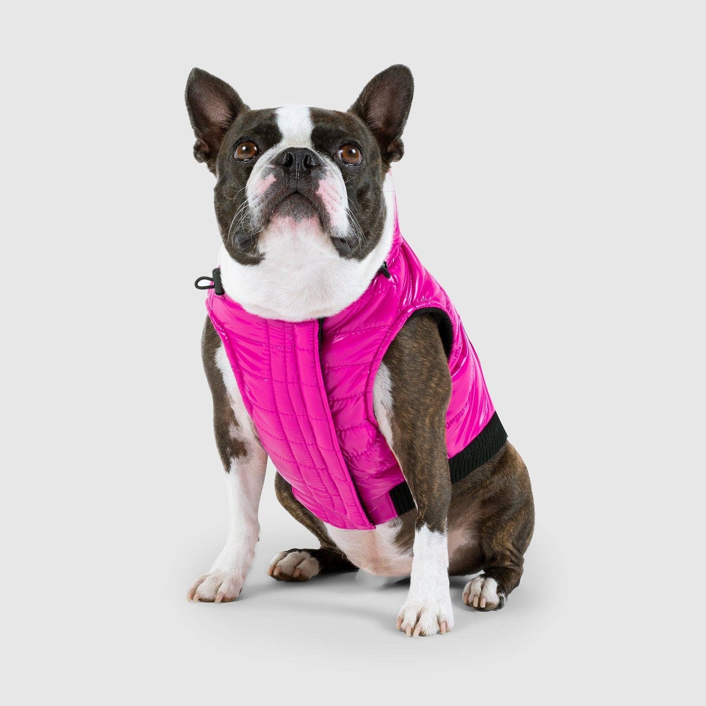 Shiny Puffer Vest- Dog Coat: Iridescent