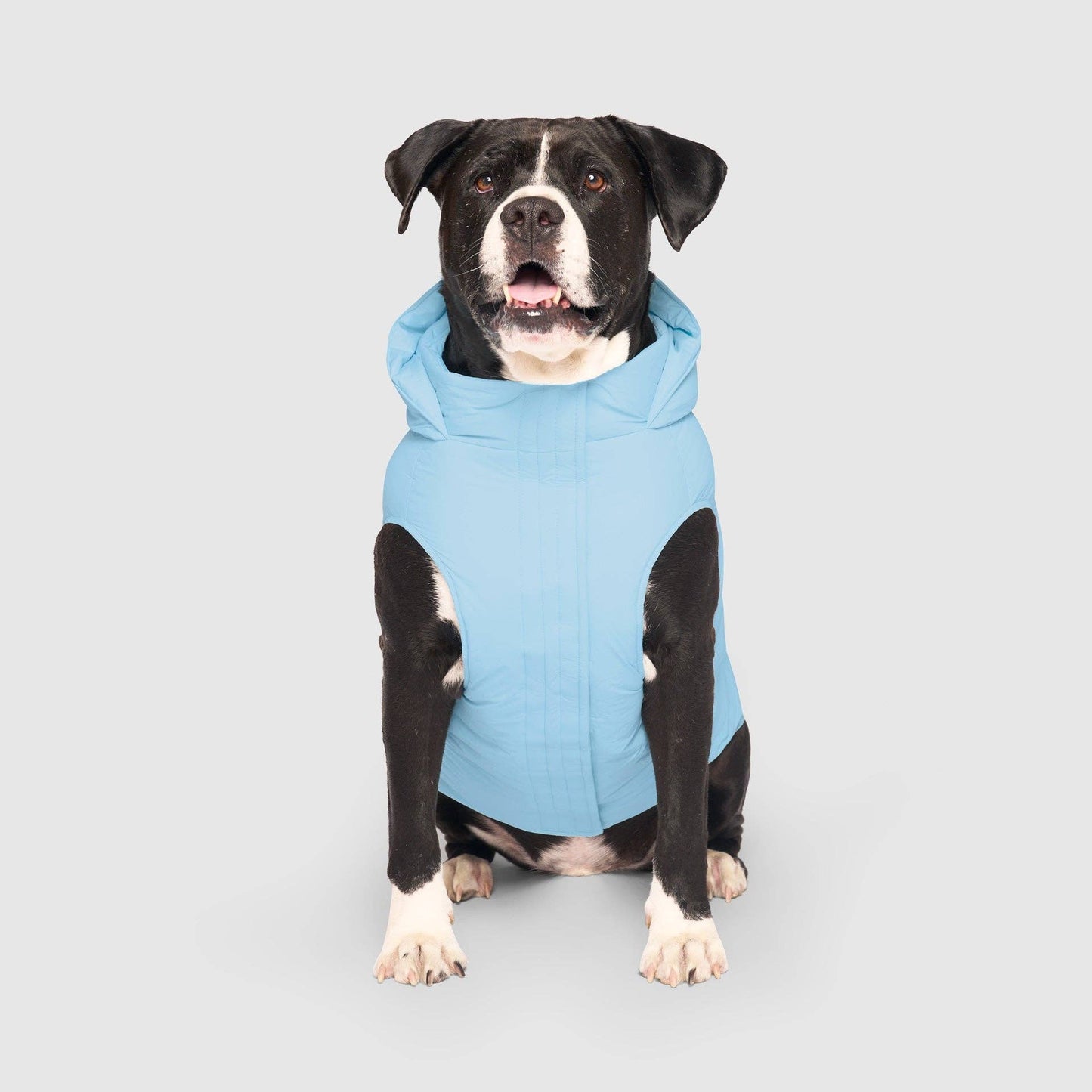 Waterproof Dog Puffer