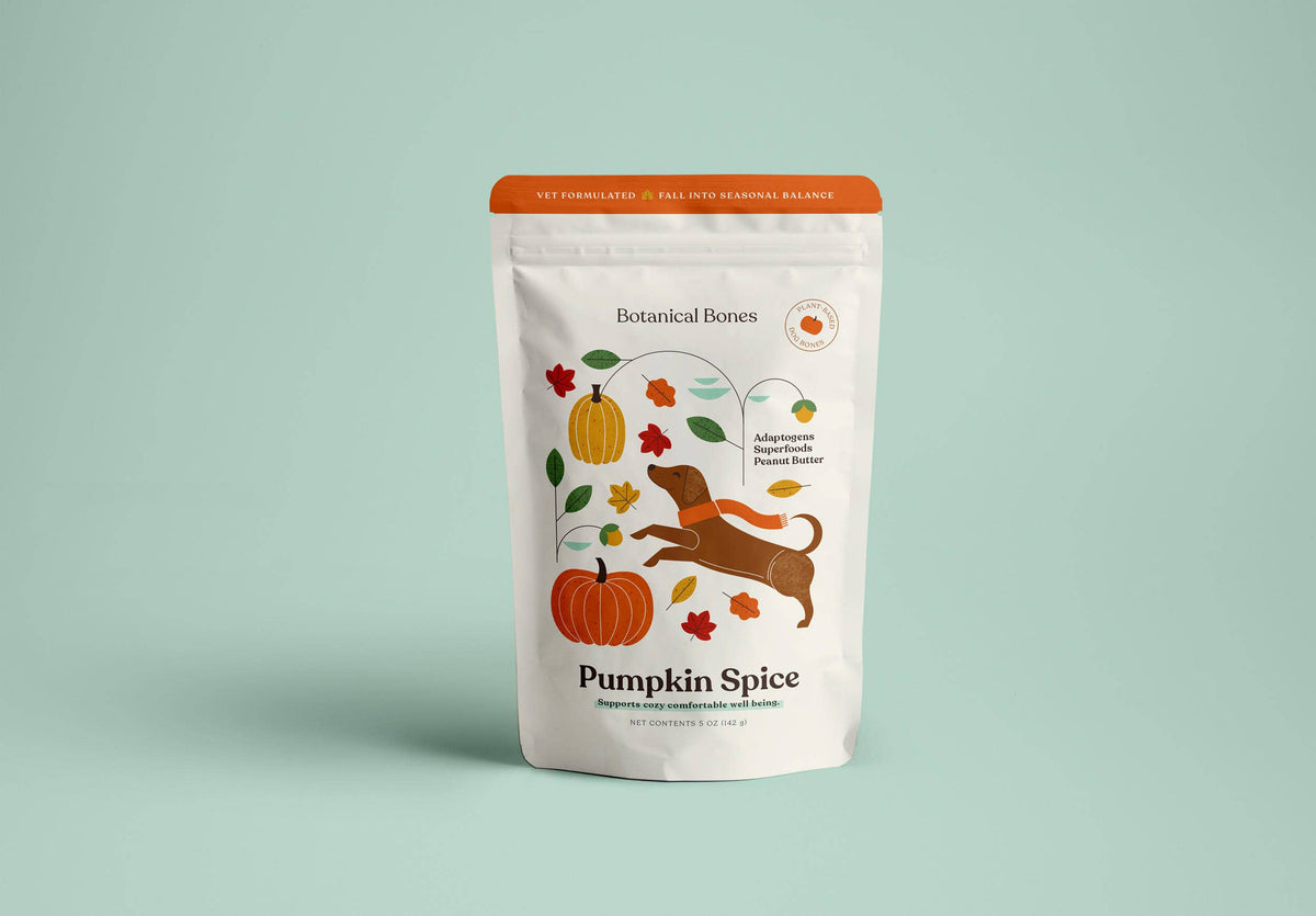Pumpkin Spice Dog Treats