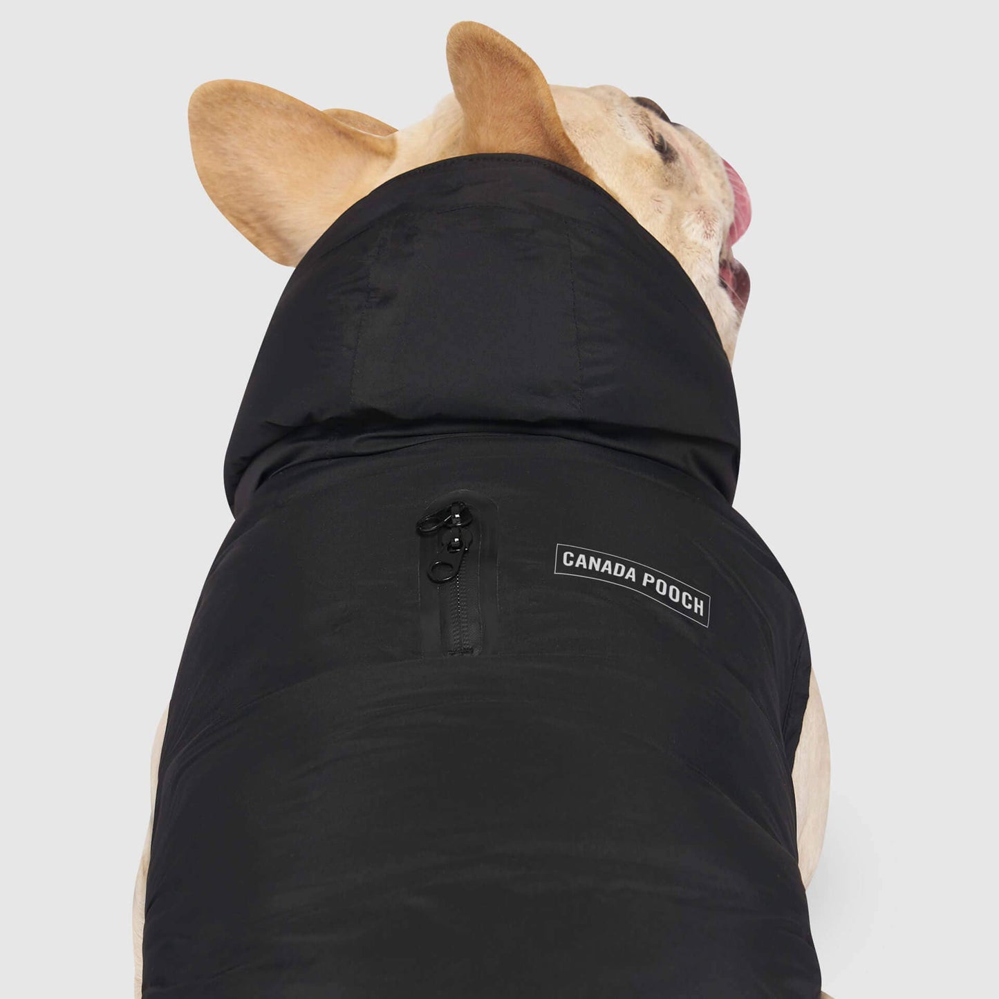 Waterproof Dog Puffer