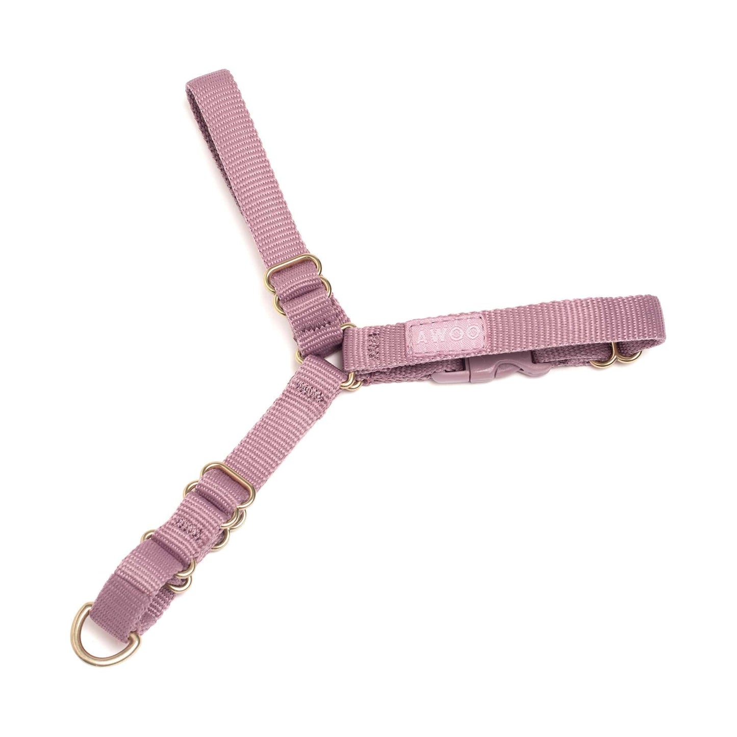 Roam Harness: SLATE