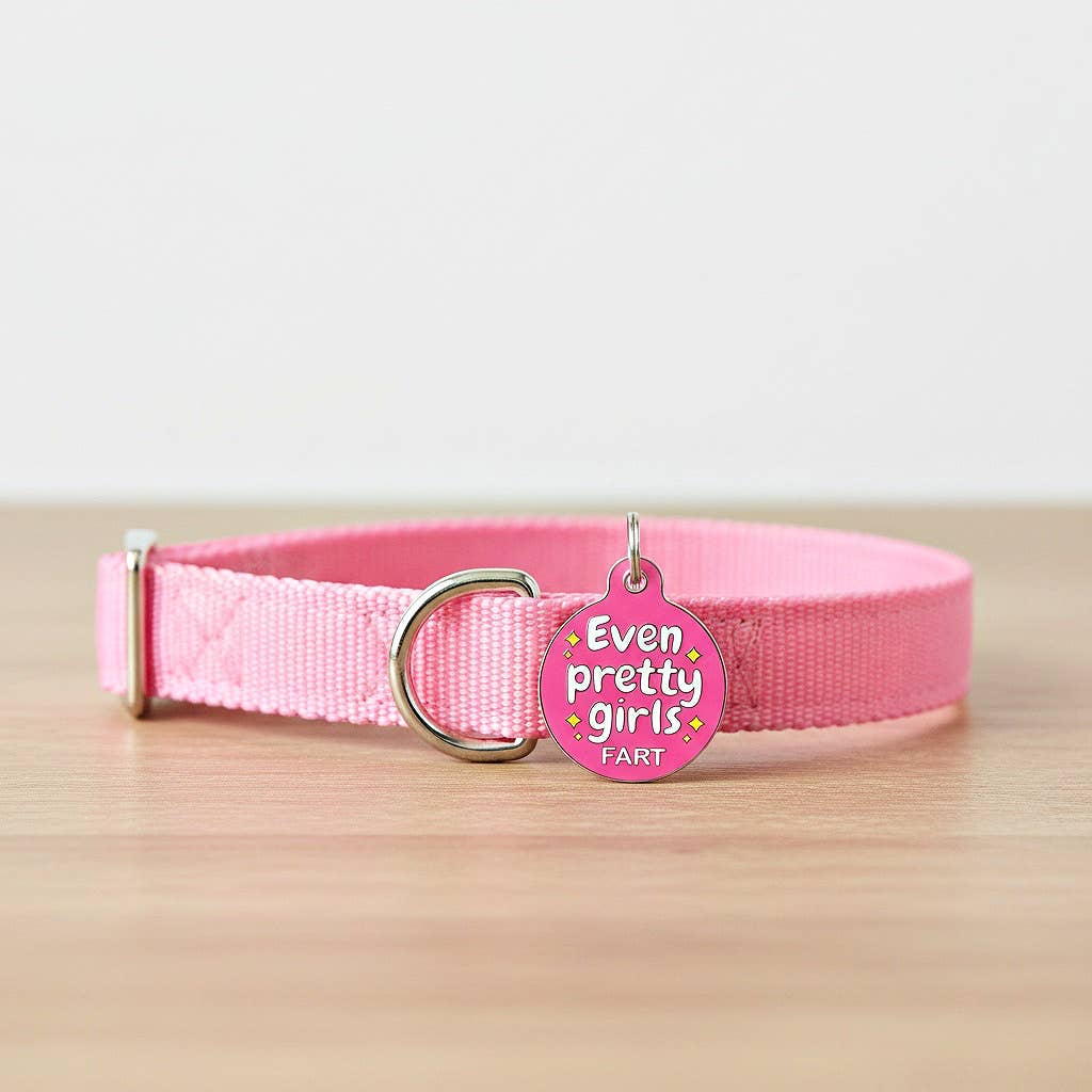 Dog Collar Charm Pet ID Tag - Even Pretty Girls Fart