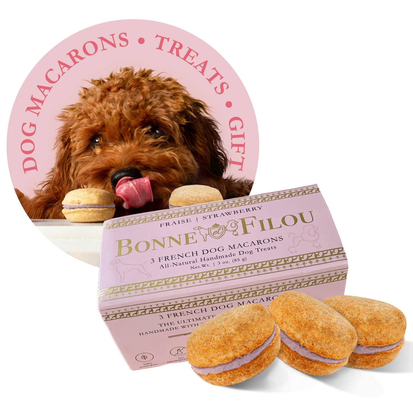 Bonne et Filou Dog Macarons | Pumpkin
