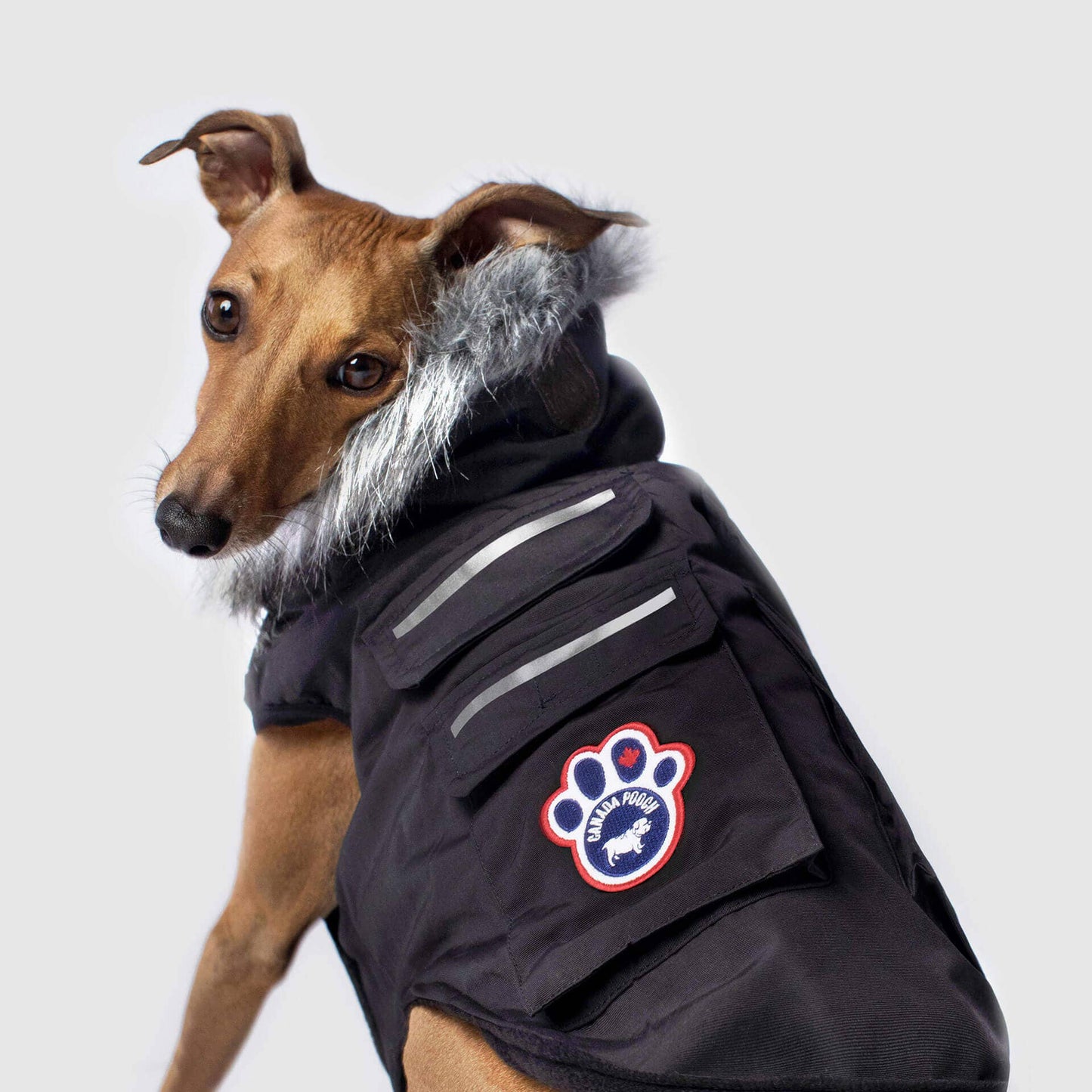 Everest Explorer Jacket- Dog Coat: Red Reflective
