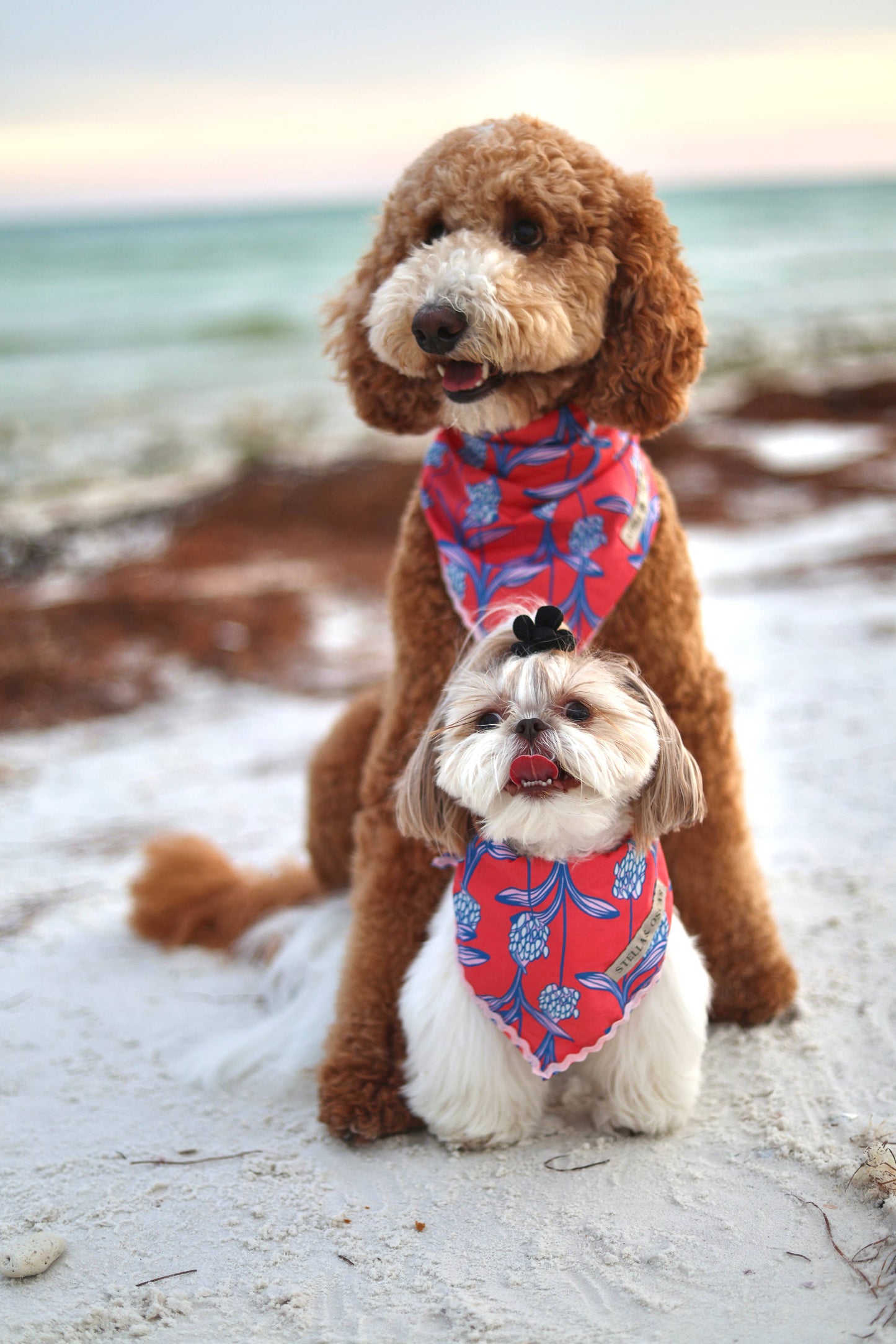Stella & Oscar Coral Bloom Bandana