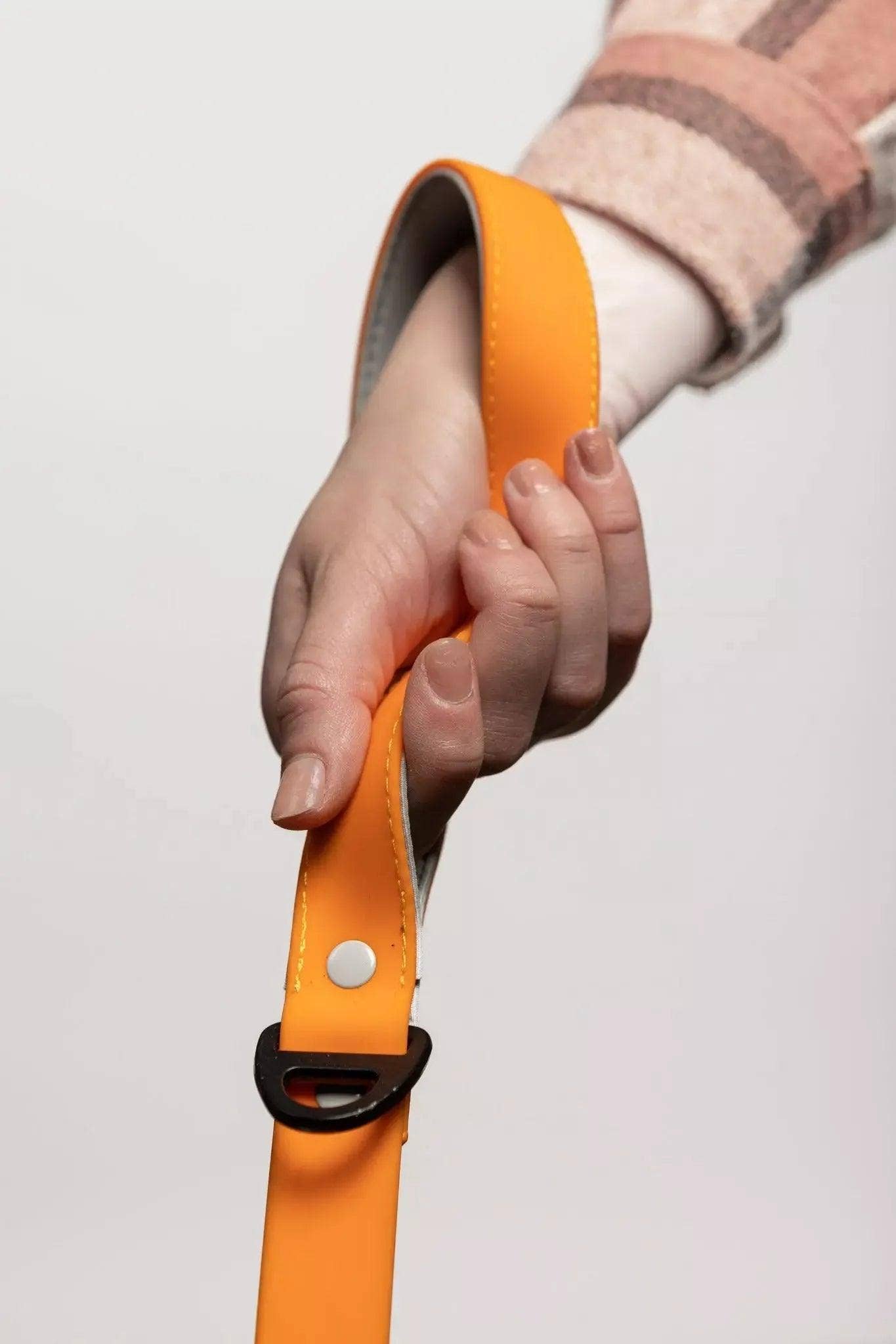 Crimson Glow Waterproof Dog Leash: Bright Orange / Gray