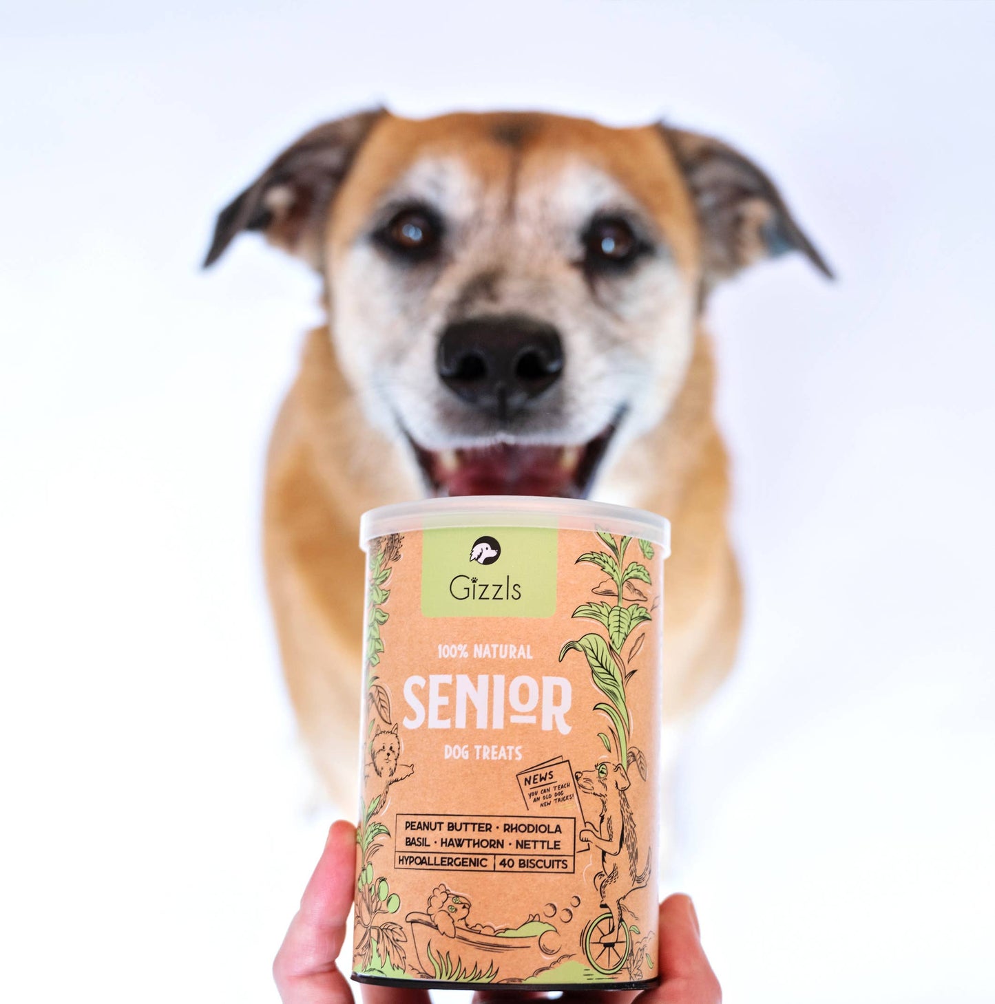100% Natural Dog Treats for Seniors