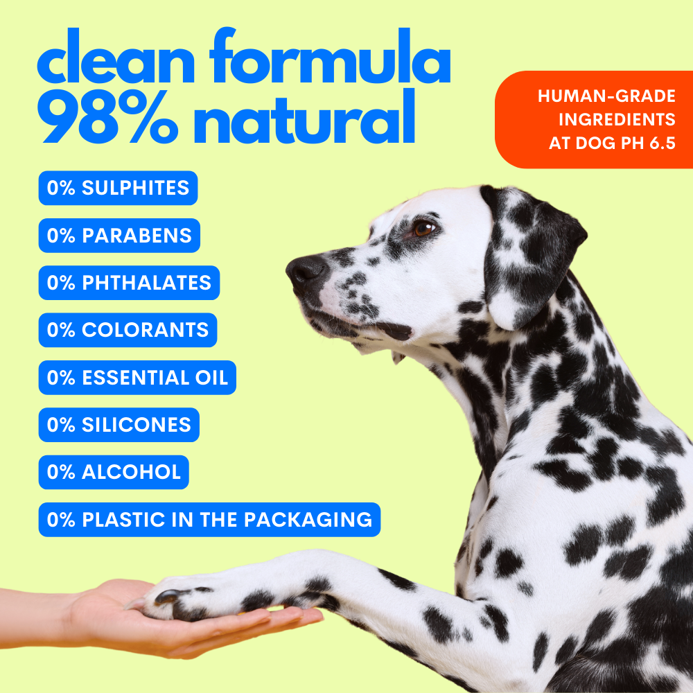 The Number One Shampoo+Conditioner Hypoallergenic For Dogs