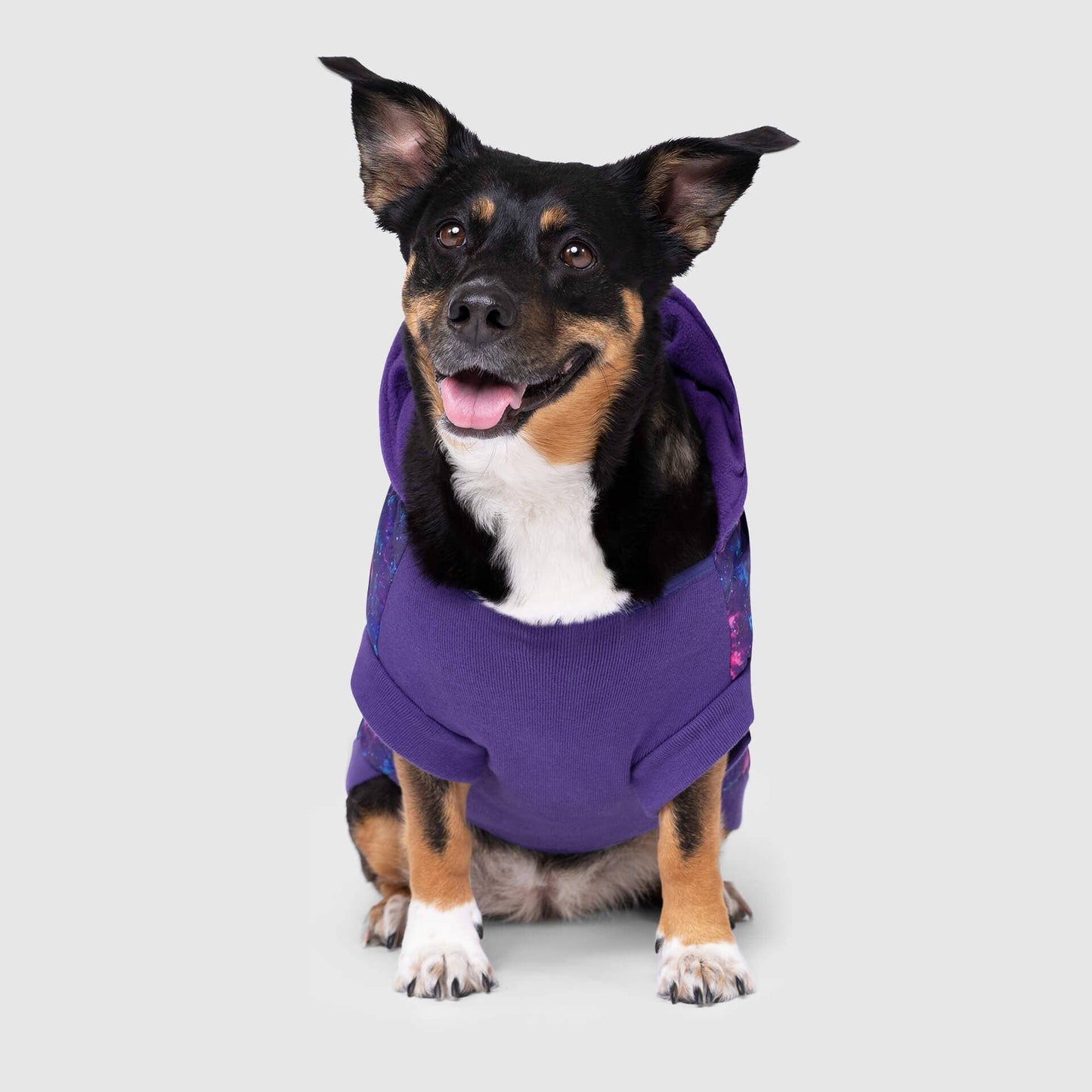 Prism Puffer- Dog Coat: Pink Houndstooth / 24