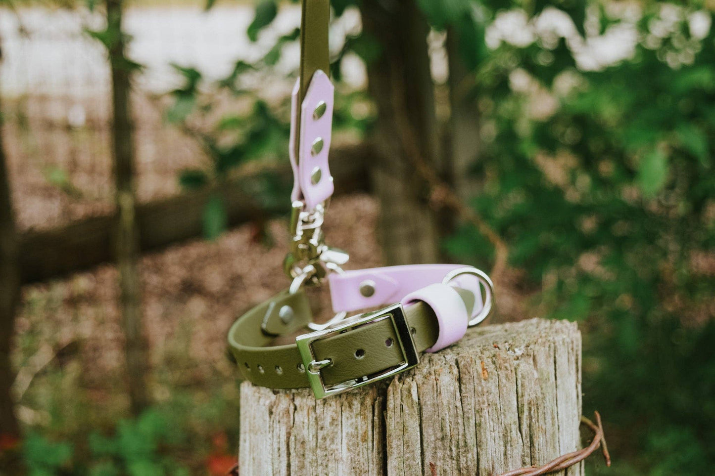Quest Biothane Collar