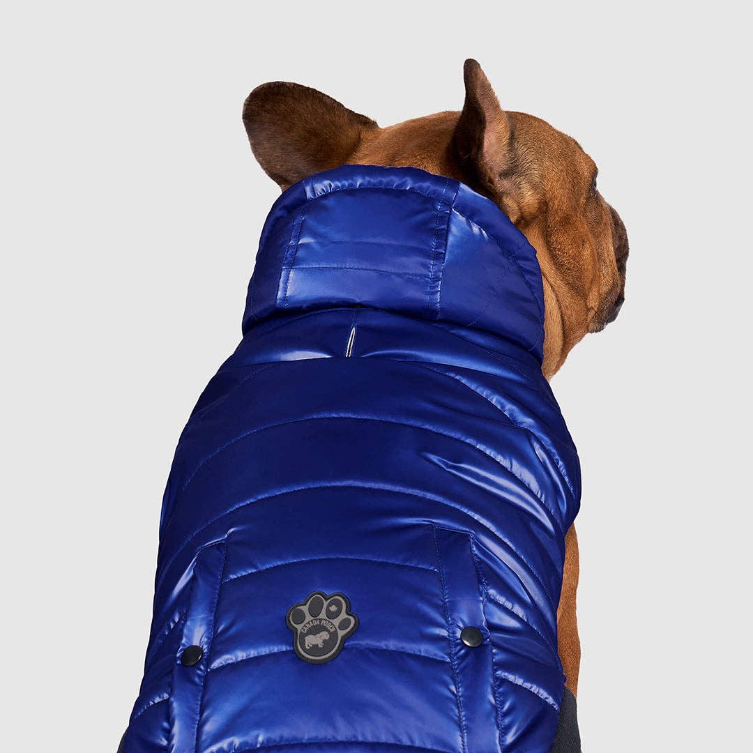 Shiny Puffer Vest- Dog Coat: Iridescent