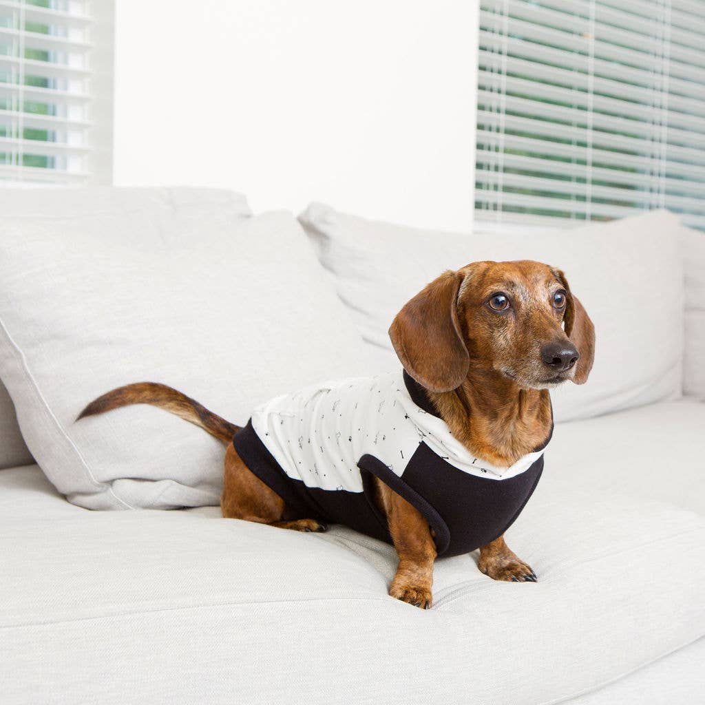 Paws & Bones Dog Hoodie