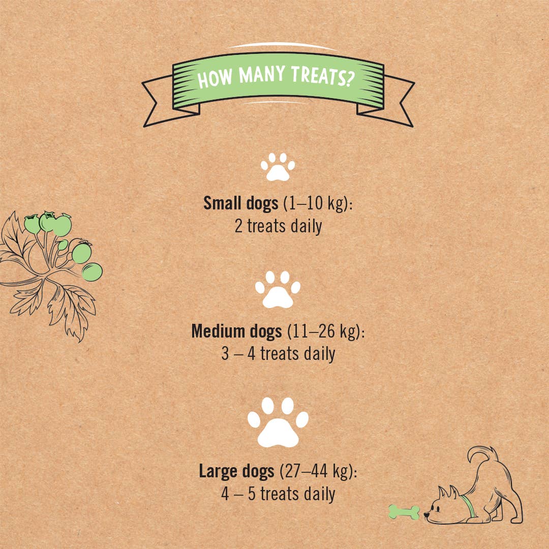 100% Natural Dog Treats for Seniors