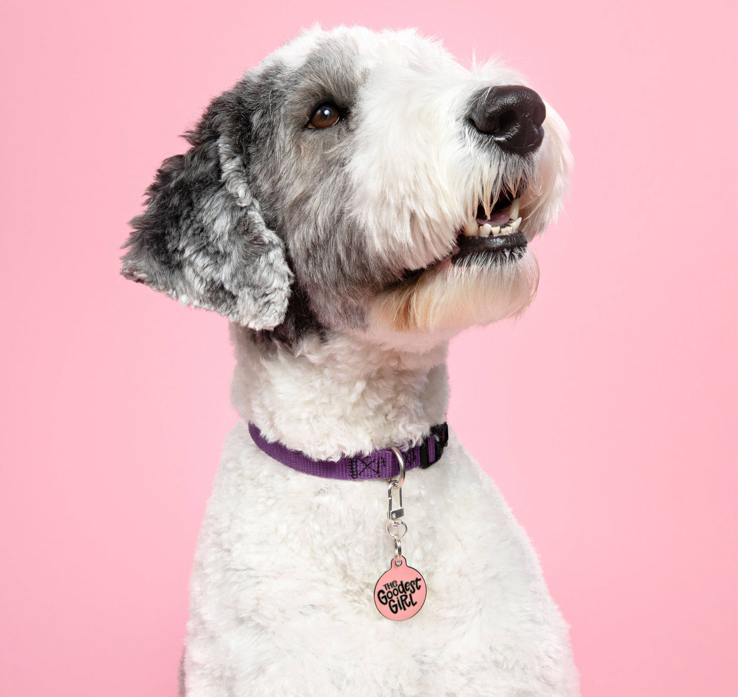 The Goodest Girl Tag